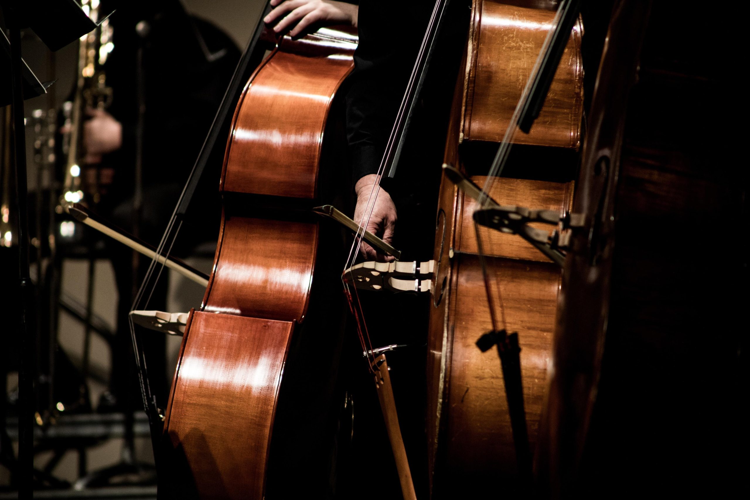 Beethoven, um festival solidário e o futuro da cultura em Portugal. Estas são as sugestões para um sábado bem passado