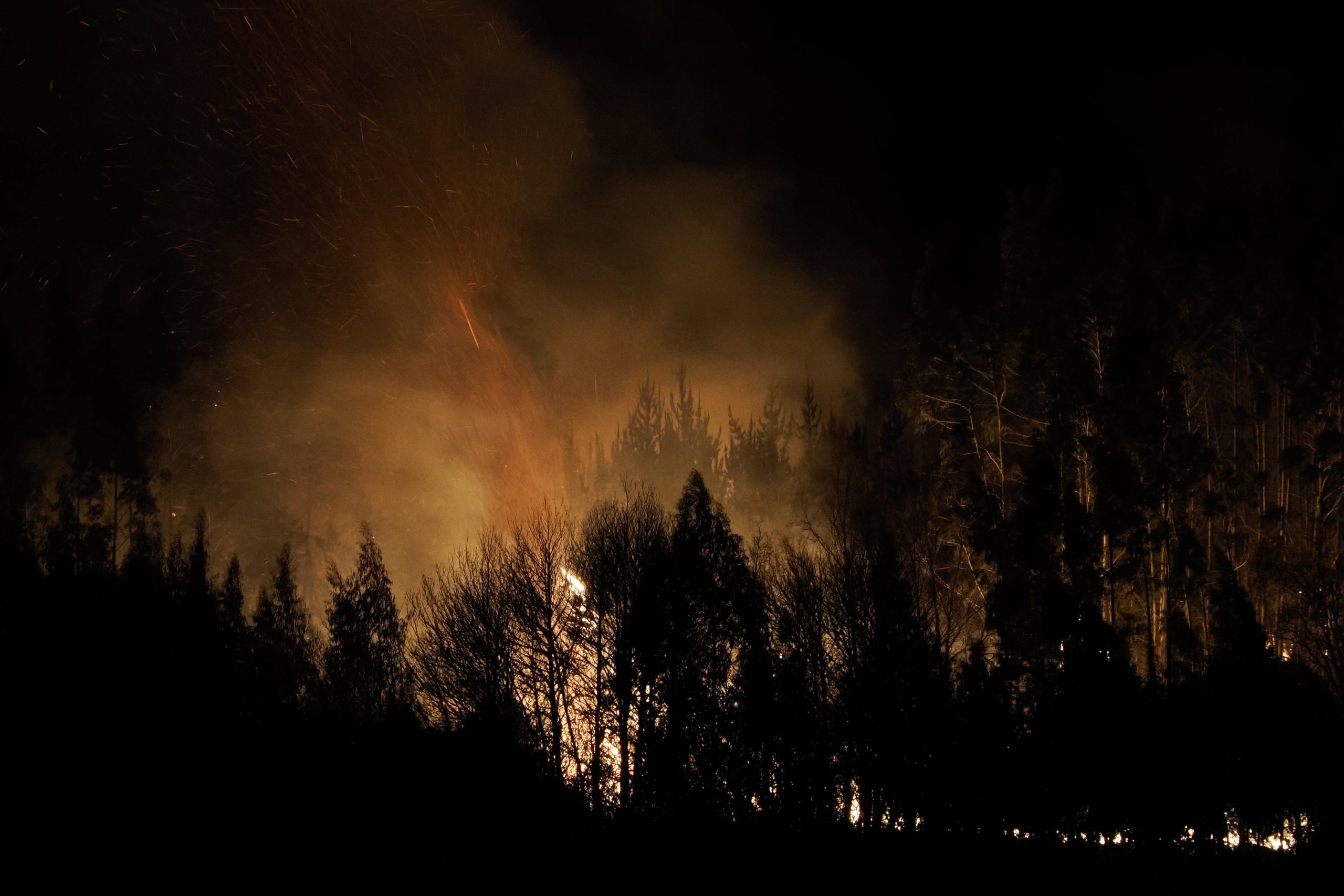 Incêndios florestais fazem 14 mortos no Cazaquistão