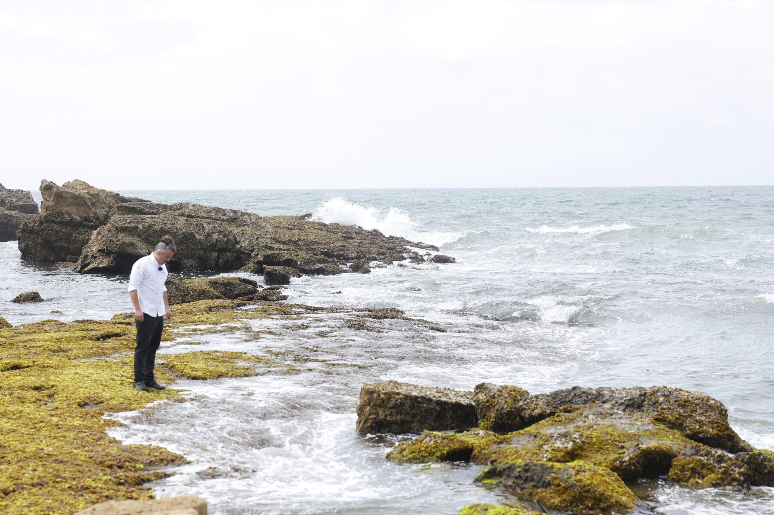 Algas, flores e plantas colhidas são a marca de sustentabilidade da cozinha do Fortaleza do Guincho