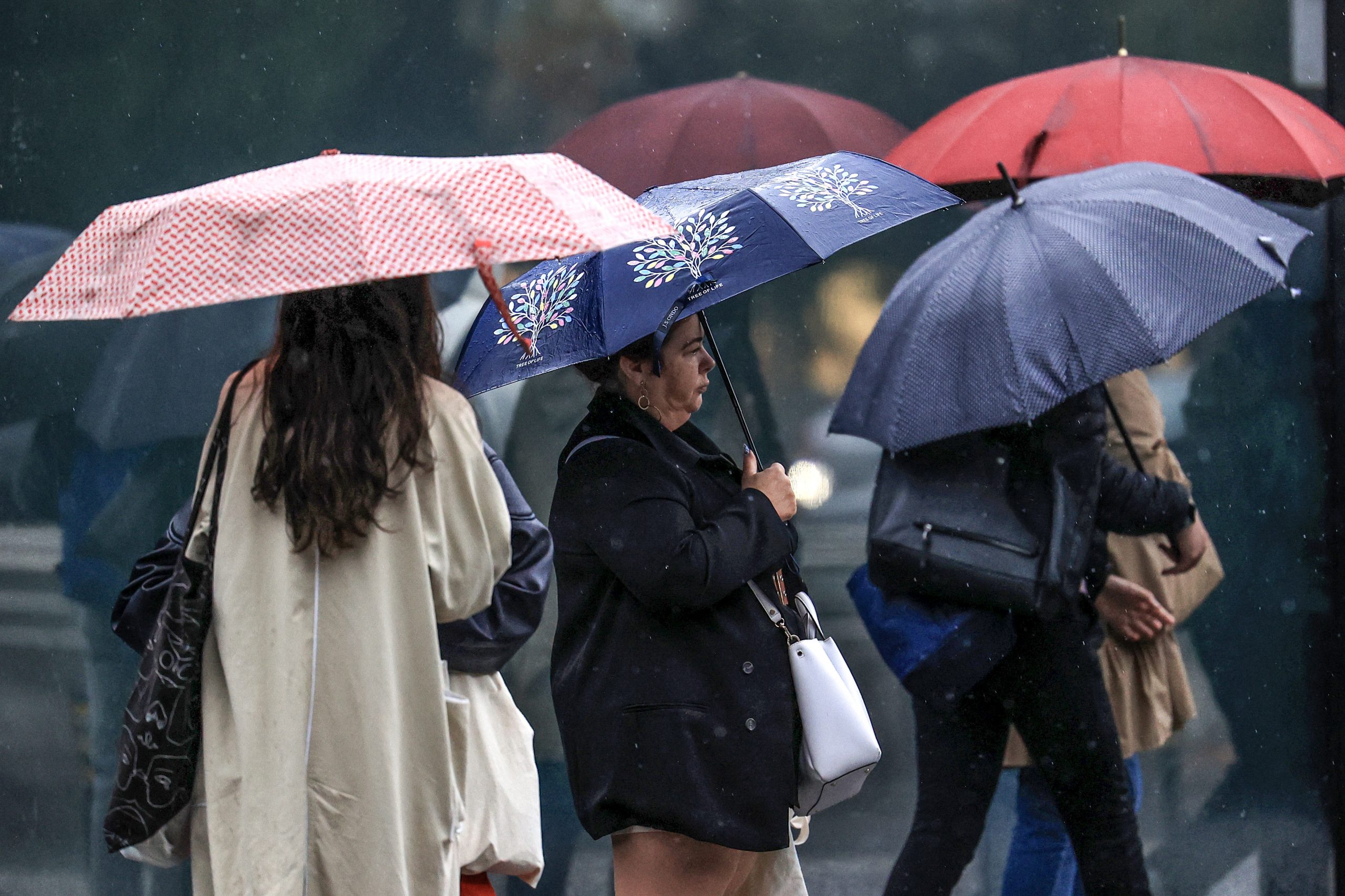 Depressão Francis: Fim de Ano com chuva, vento e ondas fortes