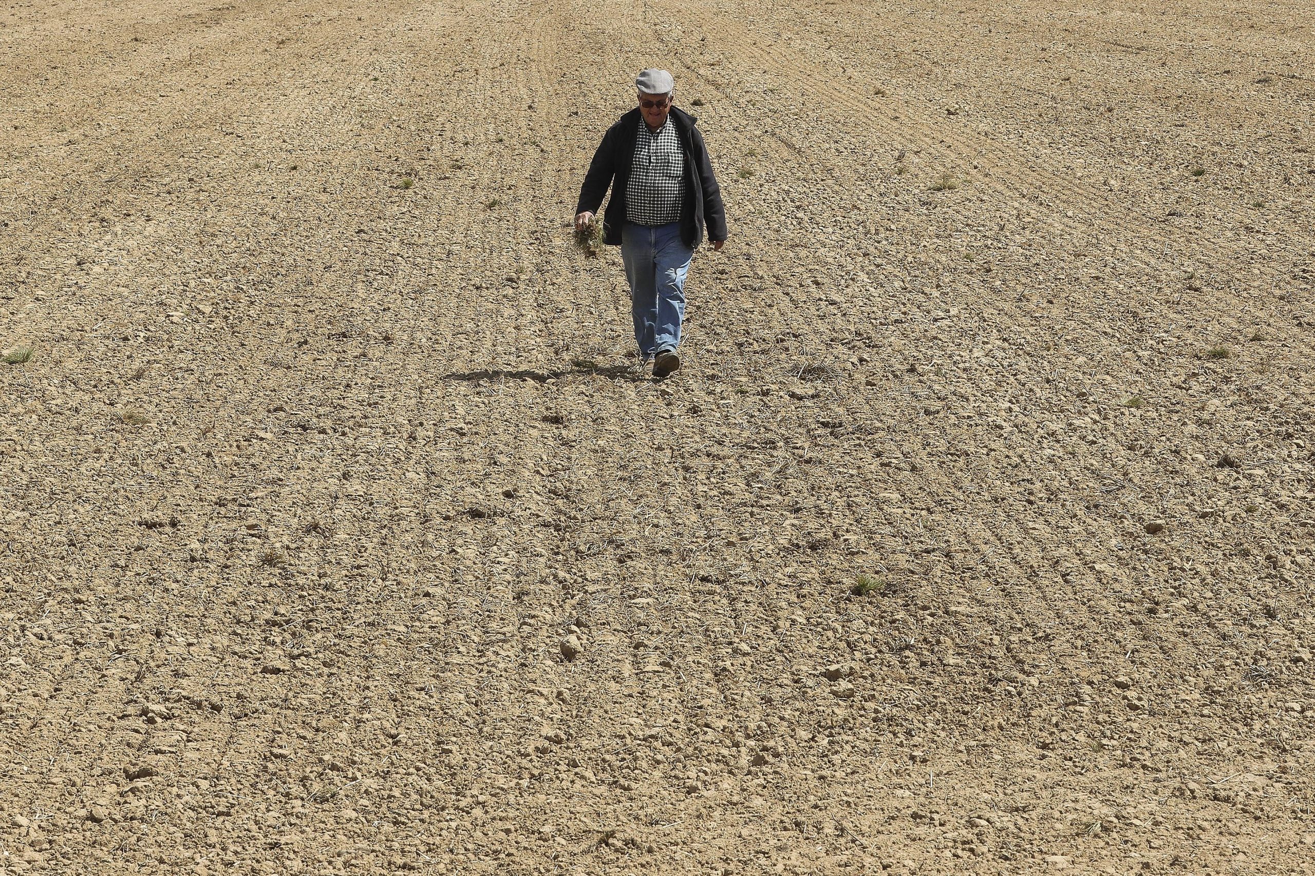 Bruxelas devolve milhões de euros a agricultores portugueses
