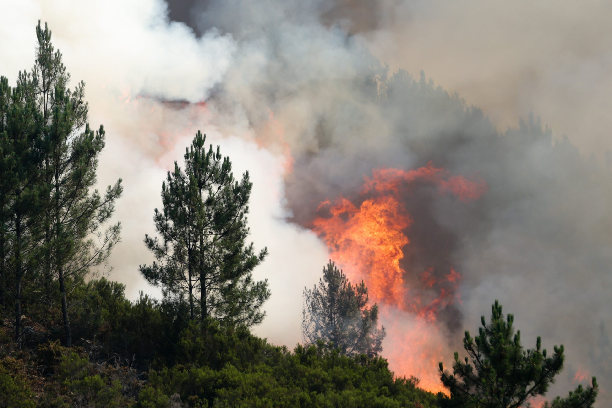 Incêndios: Fogo dominado em Alijó e em Murça chamas cedem aos meios