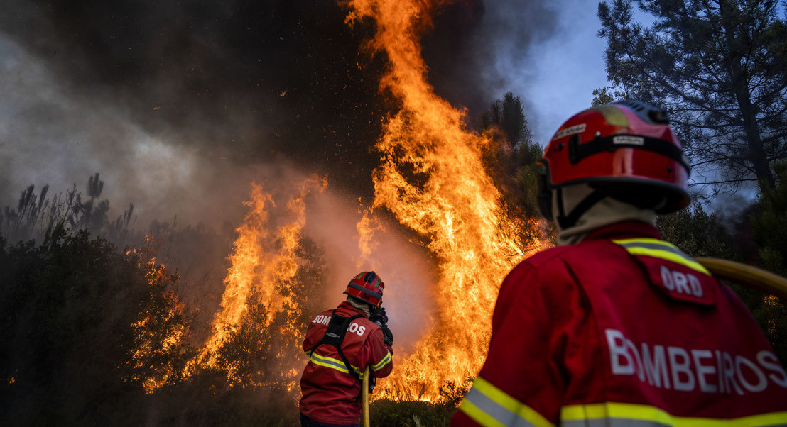 Incêndios: Mais de mil operacionais combatem fogo em Proença-a-Nova