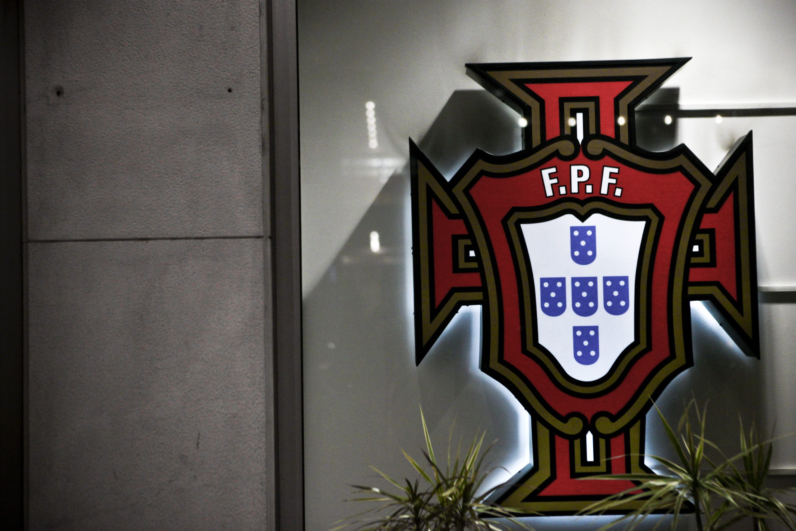 Pedro Sousa é novo diretor do Canal 11