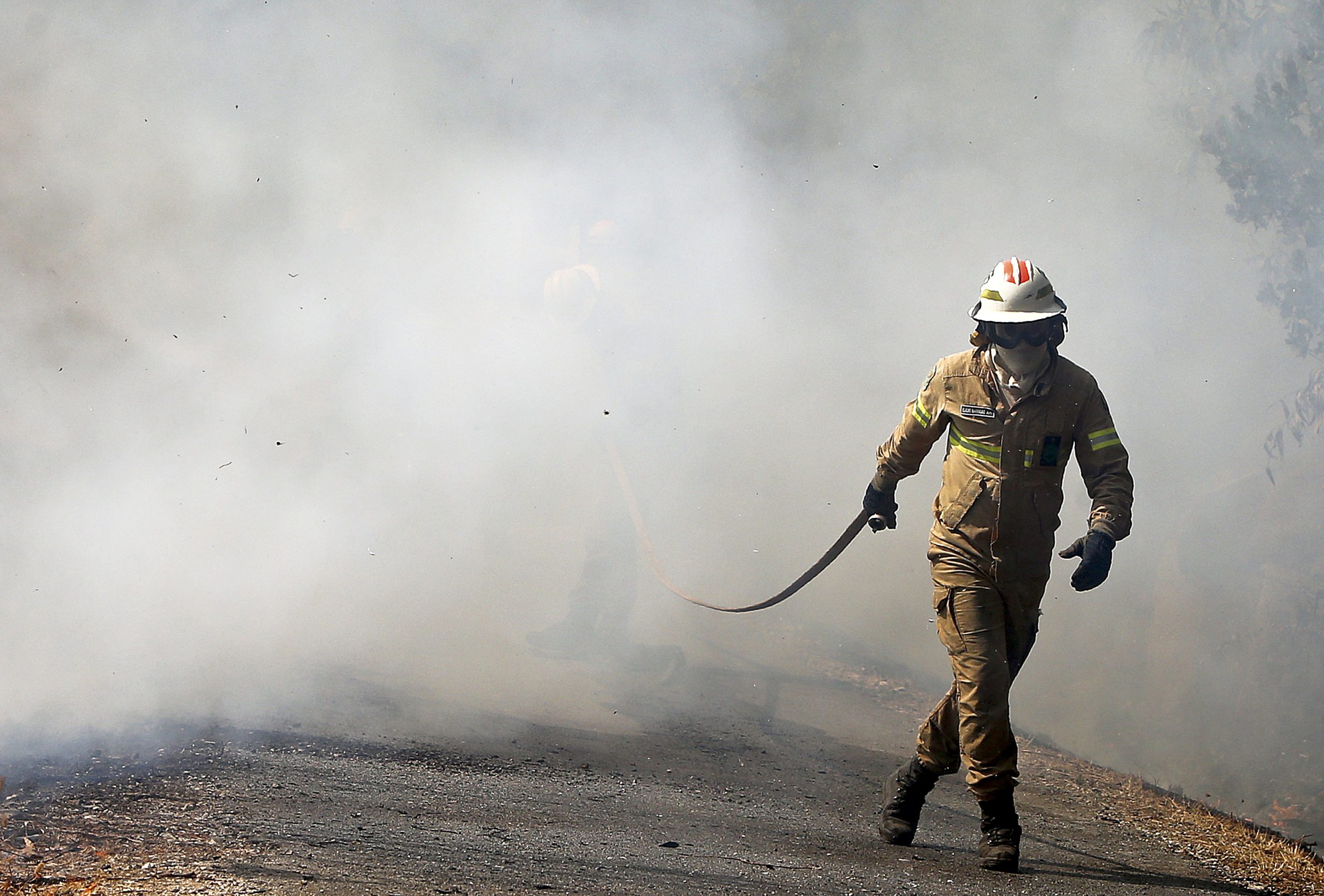 Incêndios no Parque Natural de Montesinho em fase de conclusão