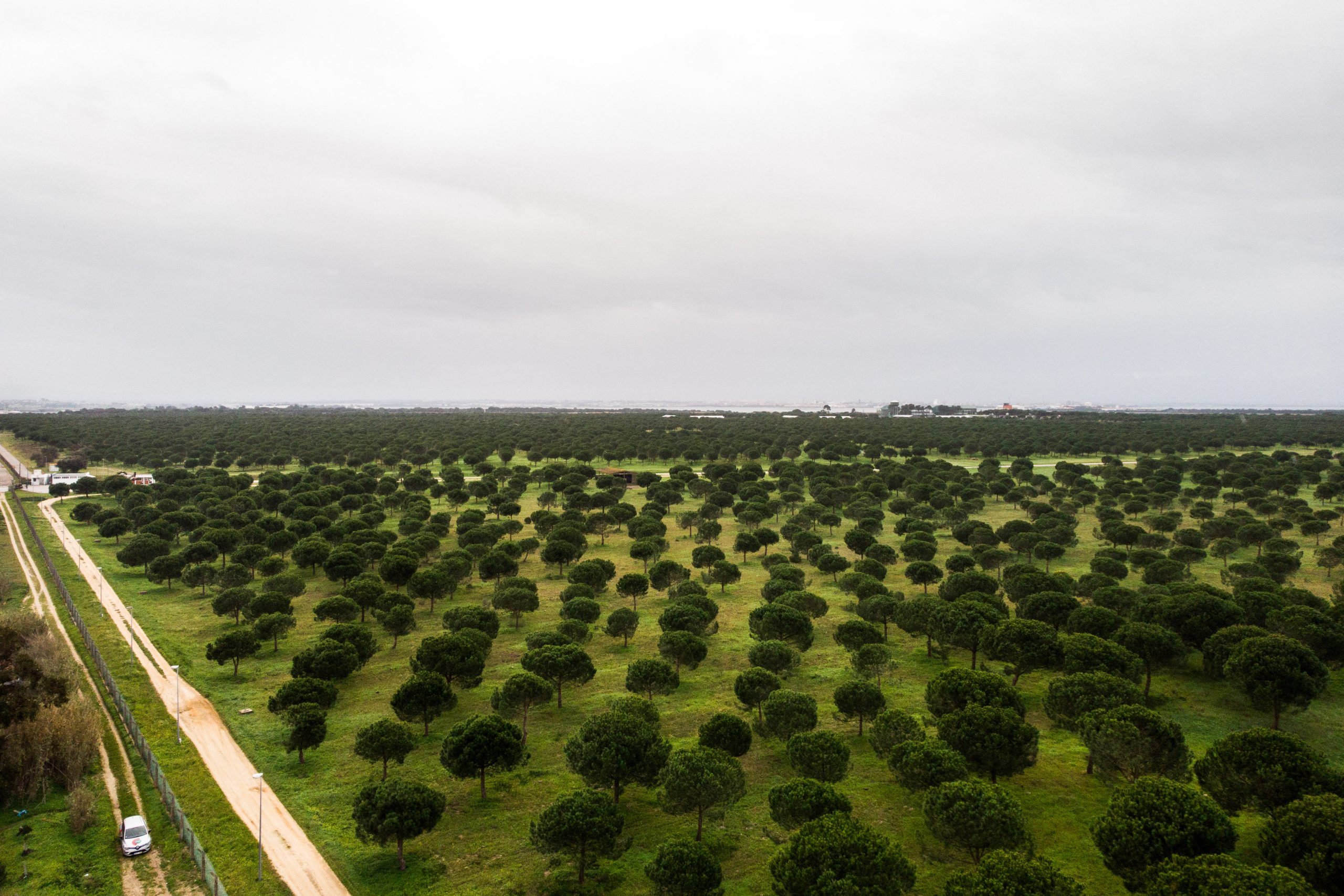 Agência Portuguesa do Ambiente alvo de buscas do Ministério Público