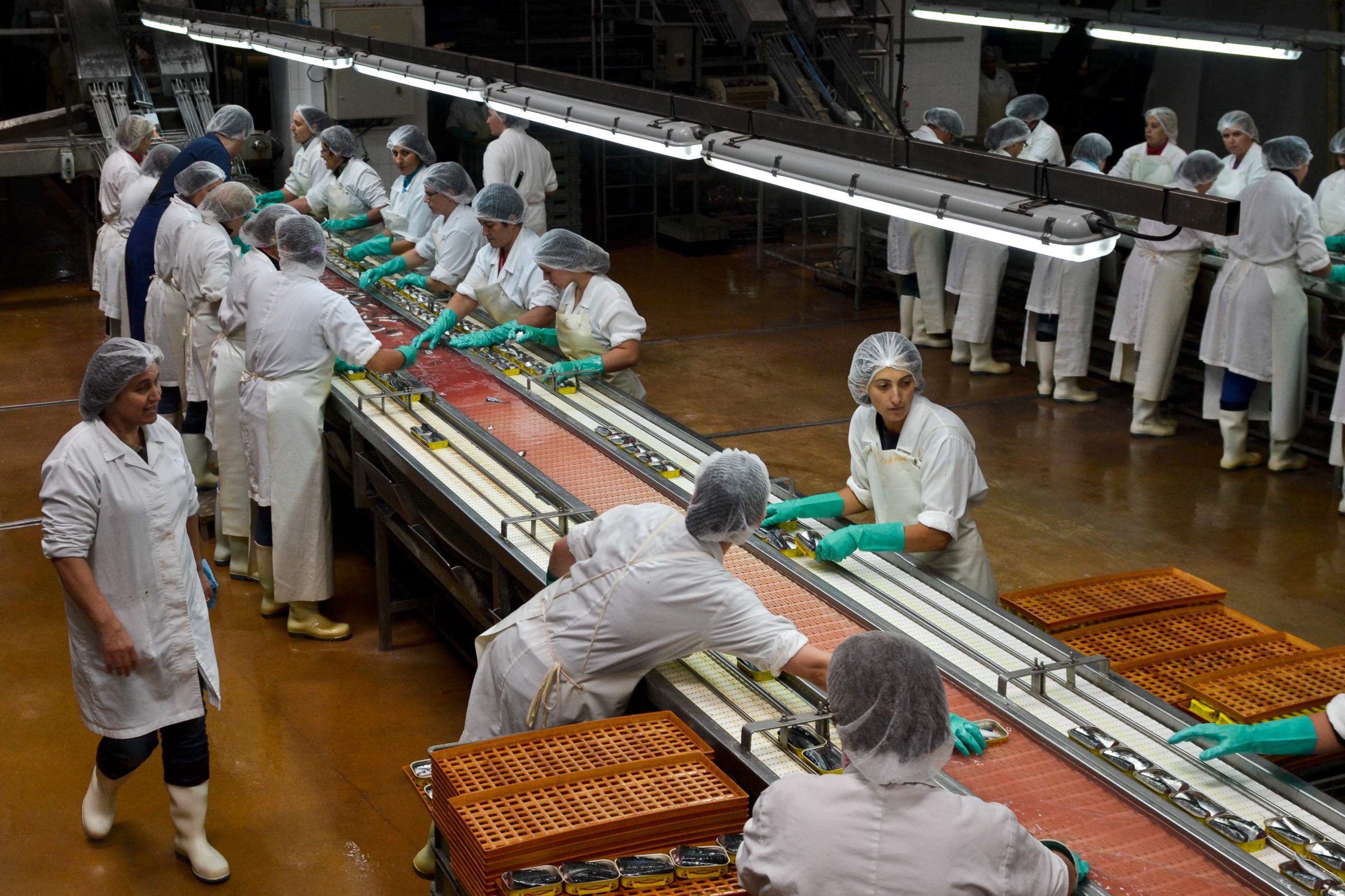 Em 2017 a vida das empresas vai mudar. Veja como
