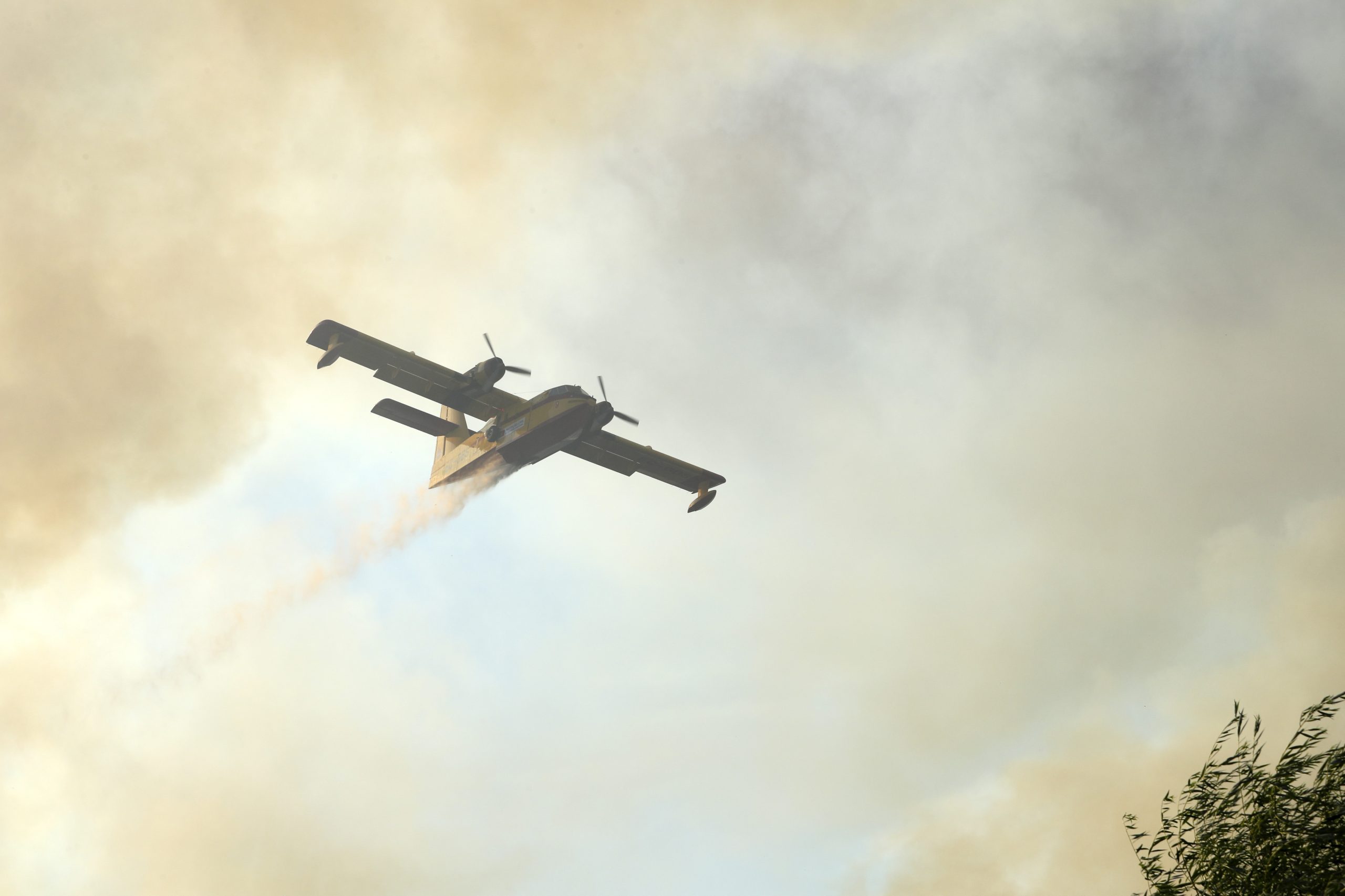 Rede SIRESP regista falhas durante incêndio em Alijó