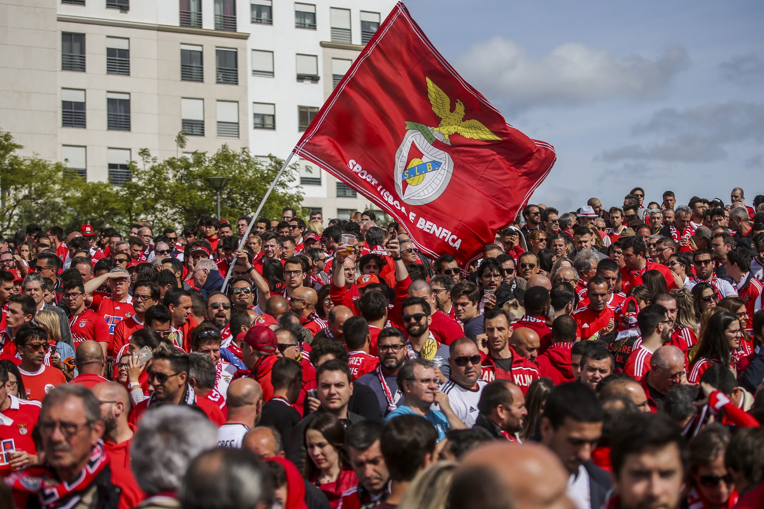 Adeptos antecipam festa do Benfica com “leitão à campeão” em redor da Luz