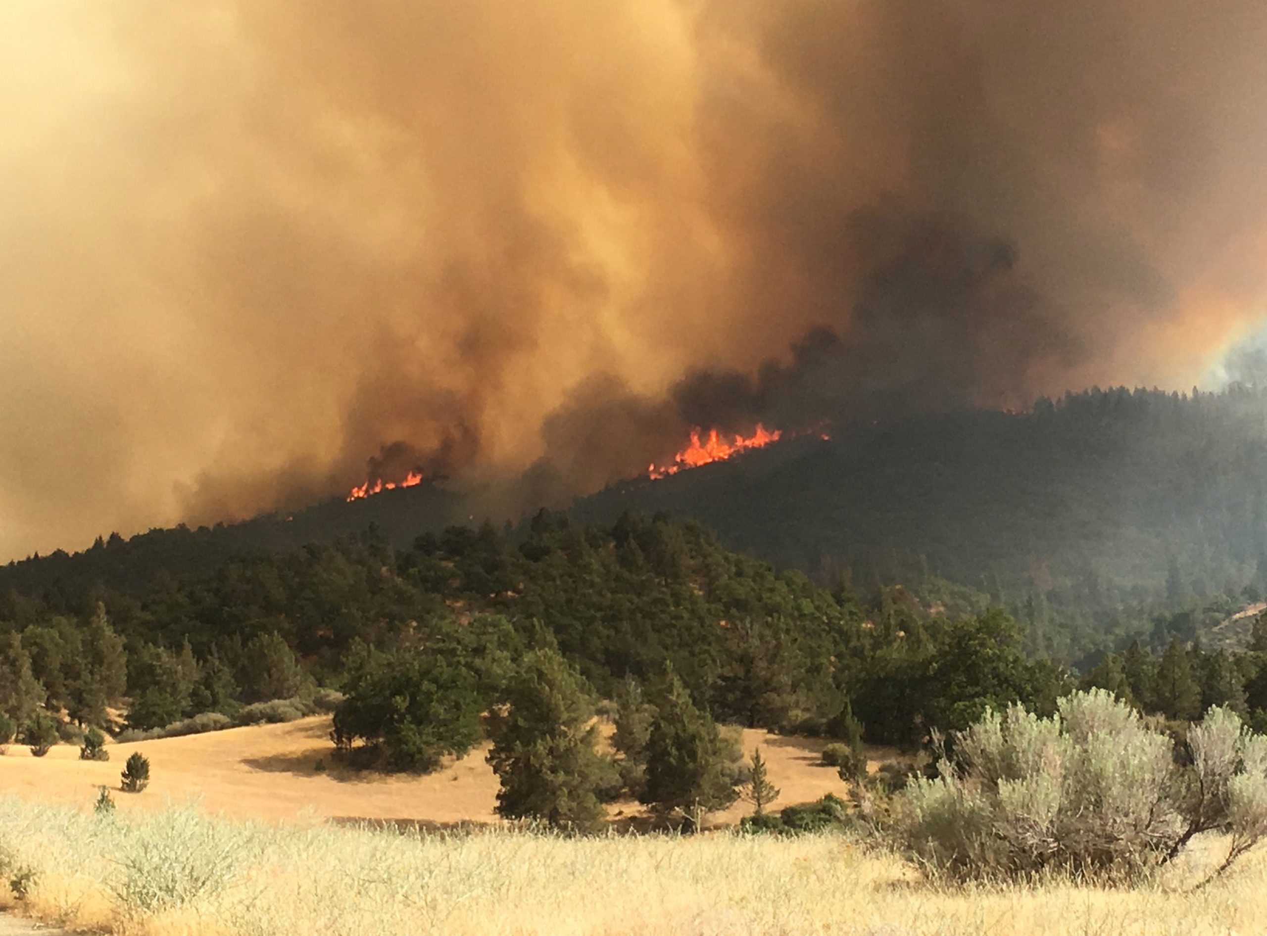 Incêndio florestal na Califórnia causa um morto e destrói diversas estruturas