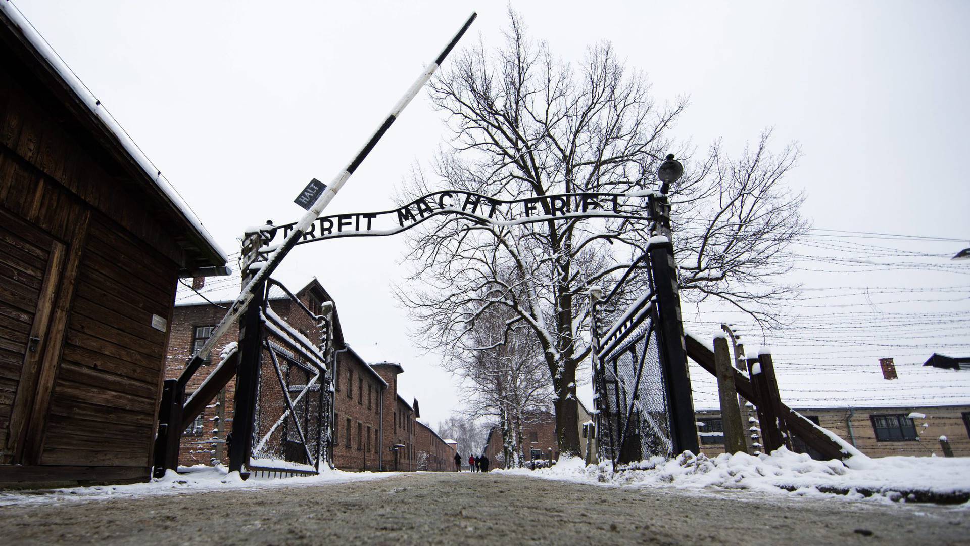 “Comboio da Memória”. Alunos de Pombal viajam de comboio até Auschwitz