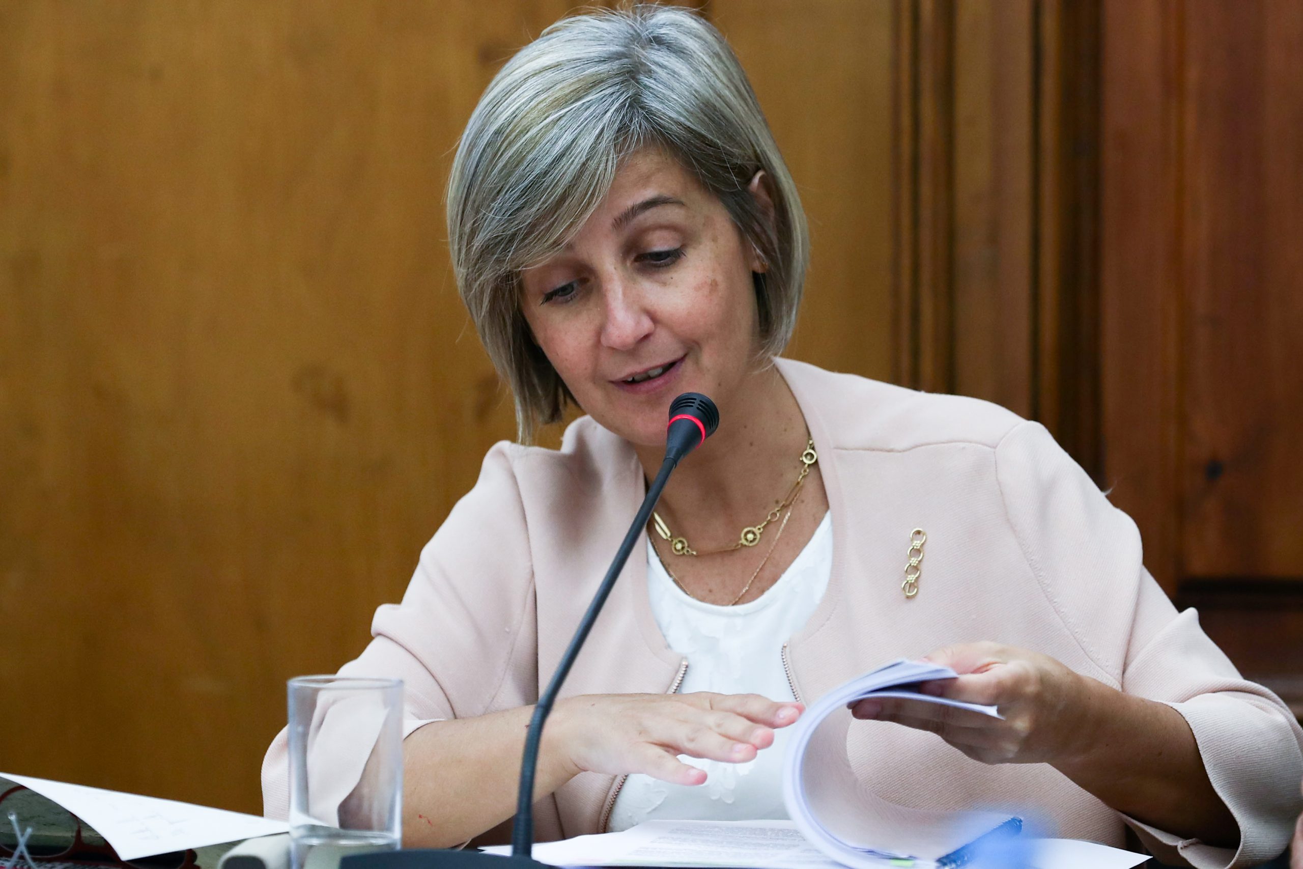 Ministra da Saúde diz que transformar SNS “é o grande desafio” do futuro