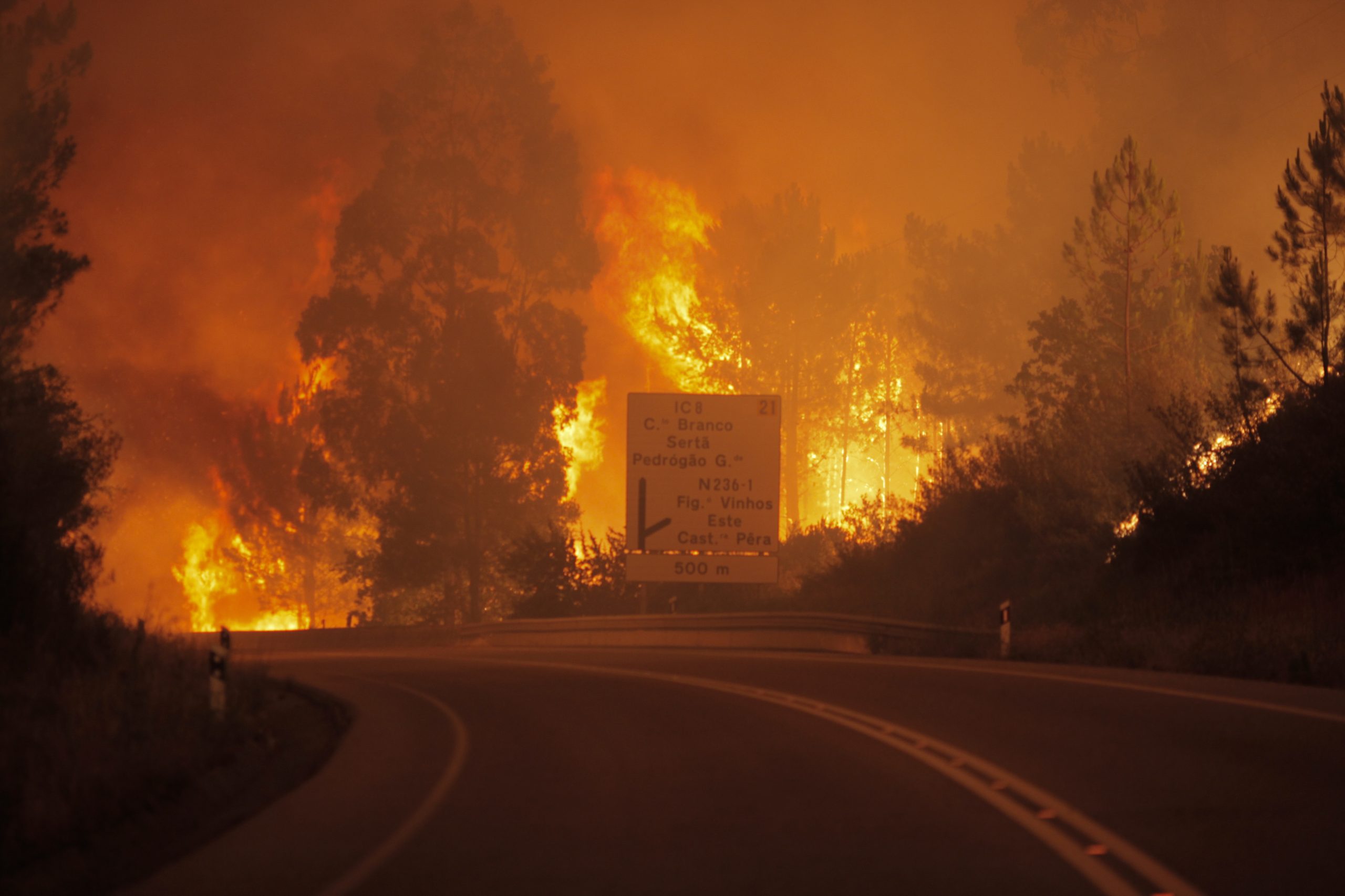 Um único plano de operações distrital de combate aos incêndios apresentado publicamente dentro do prazo