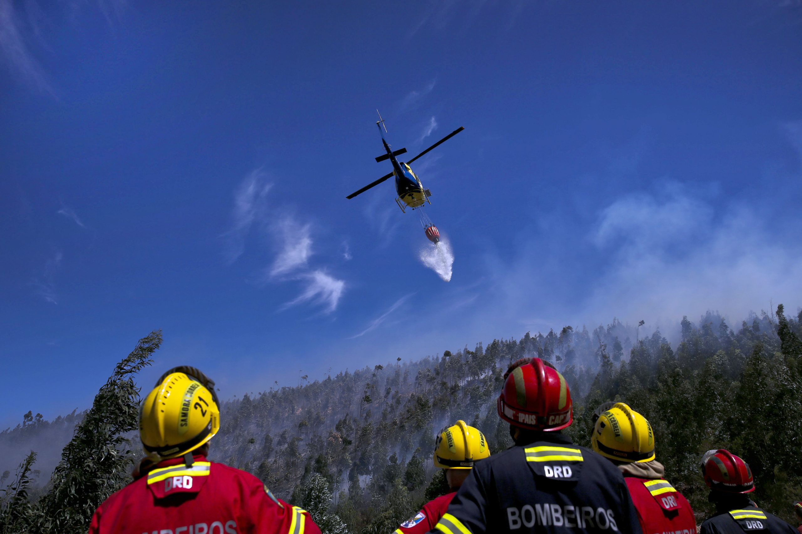 30% dos afetados pelos incêndios na Madeira excluídos dos apoios