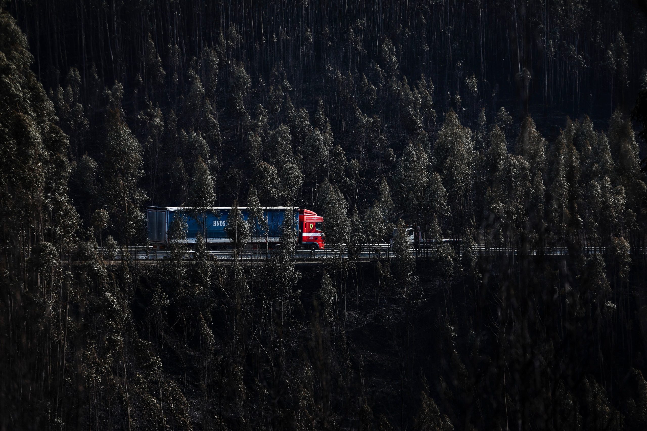Incêndios. Mais de mil hectares georreferenciados no projeto-piloto do cadastro