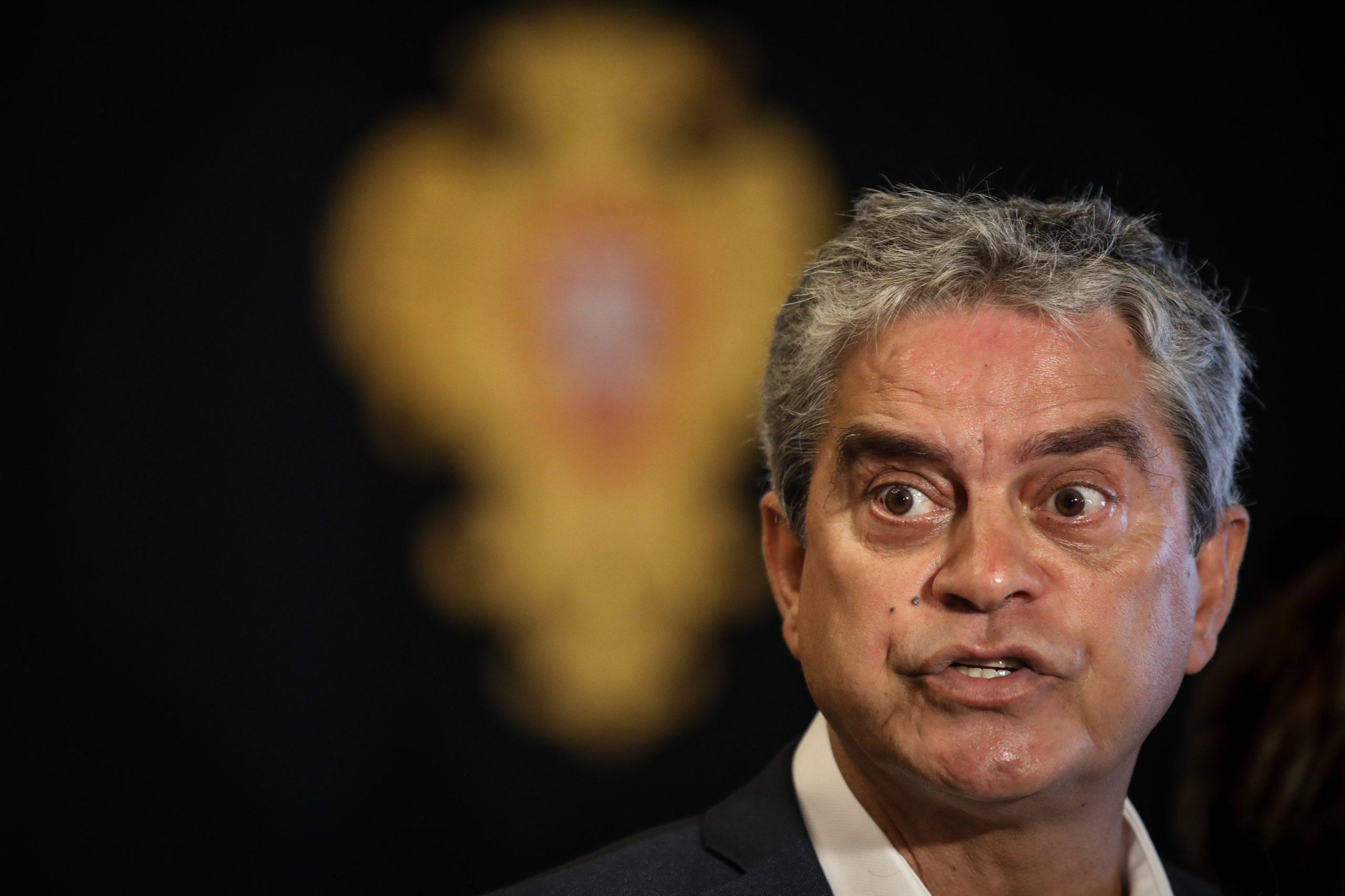 Eleições: Verdes disponíveis para “apreciação prévia” de OE, moções de censura ou rejeição do programa