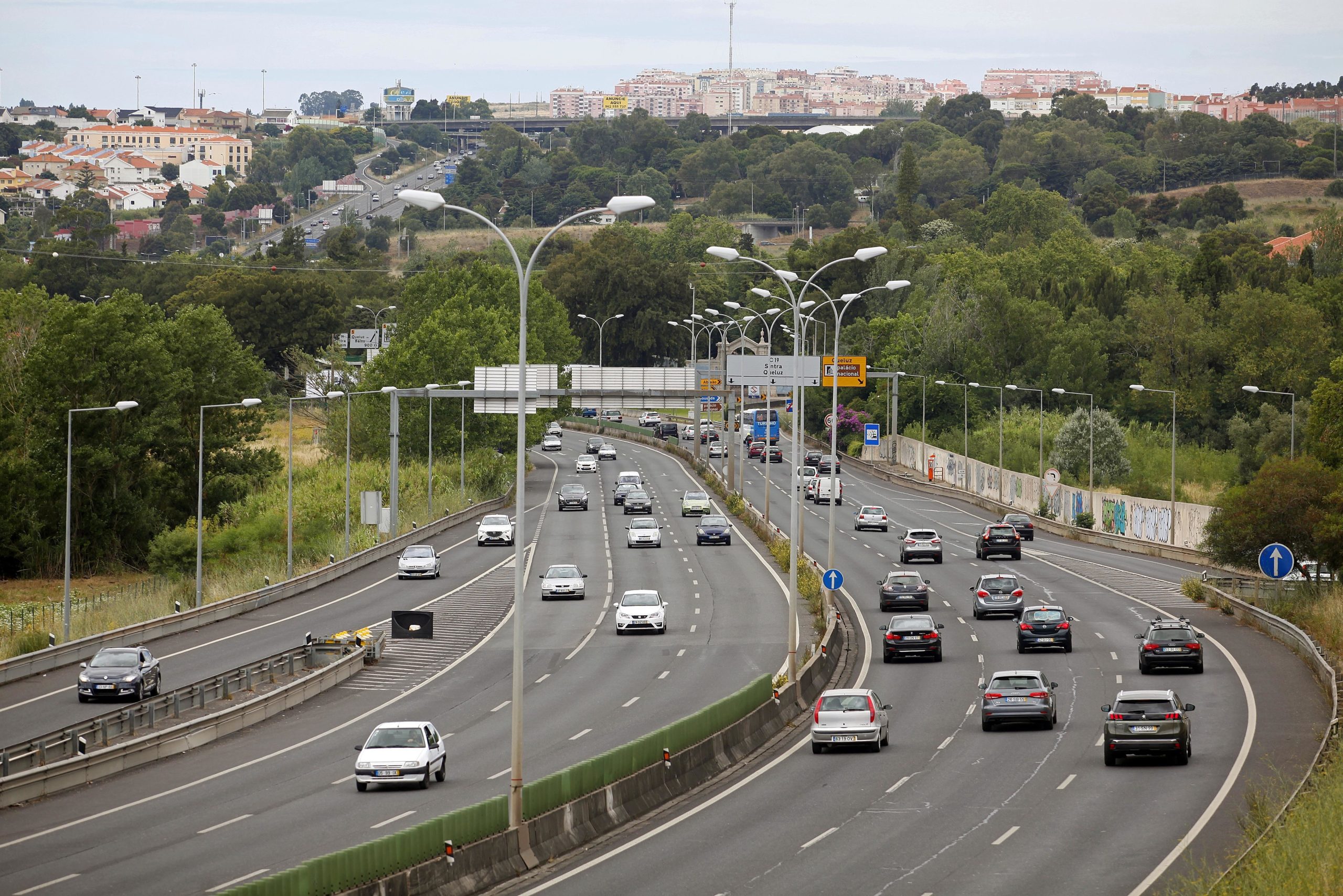 Autárquicas: PAN propõe ciclovia Sintra-Lisboa como “alternativa” ao IC19