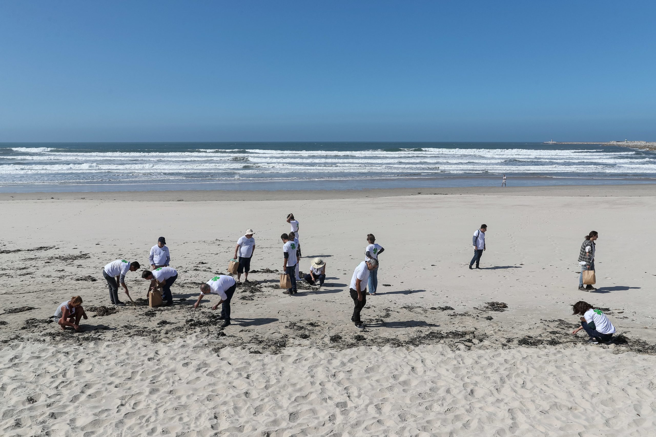 As chuvas de dezembro trouxeram madeiras até às praias da Figueira da Foz. A Câmara está a limpar e diz que não multa quem as quiser levar
