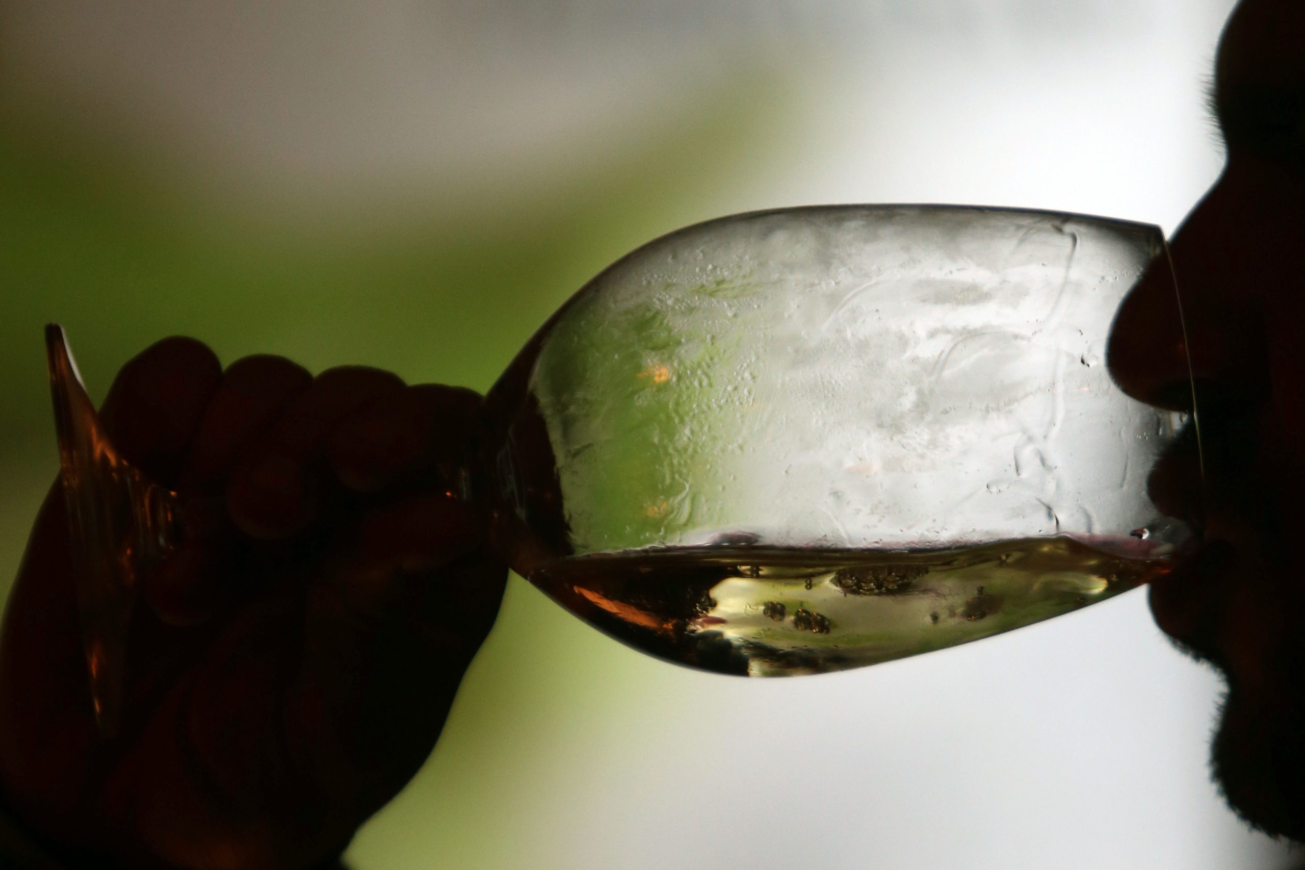 Regiões Demarcadas contra aumento de imposto sobre o vinho