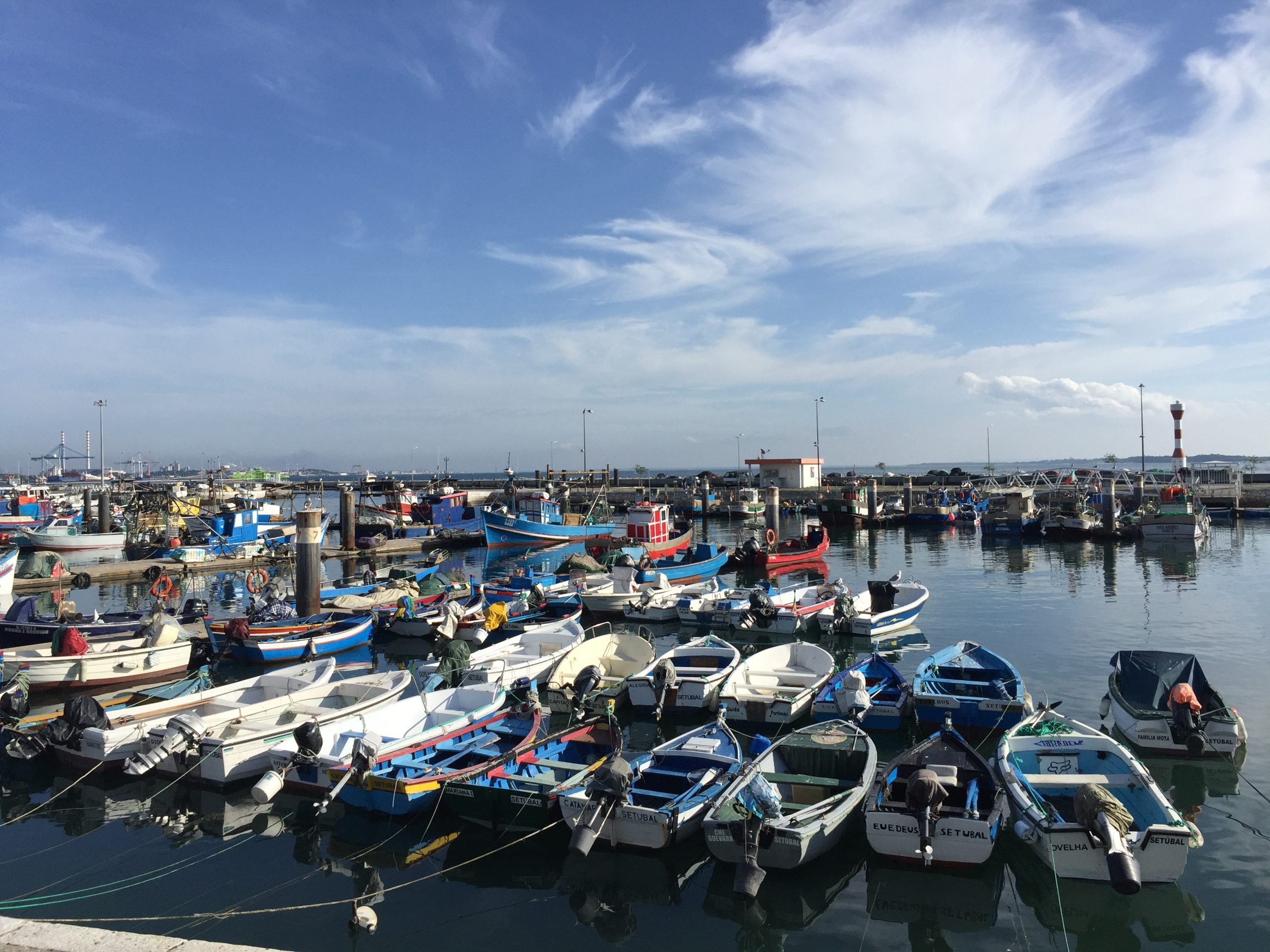 Marina de Vila Franca de Xira em risco devido a dívidas do gestor