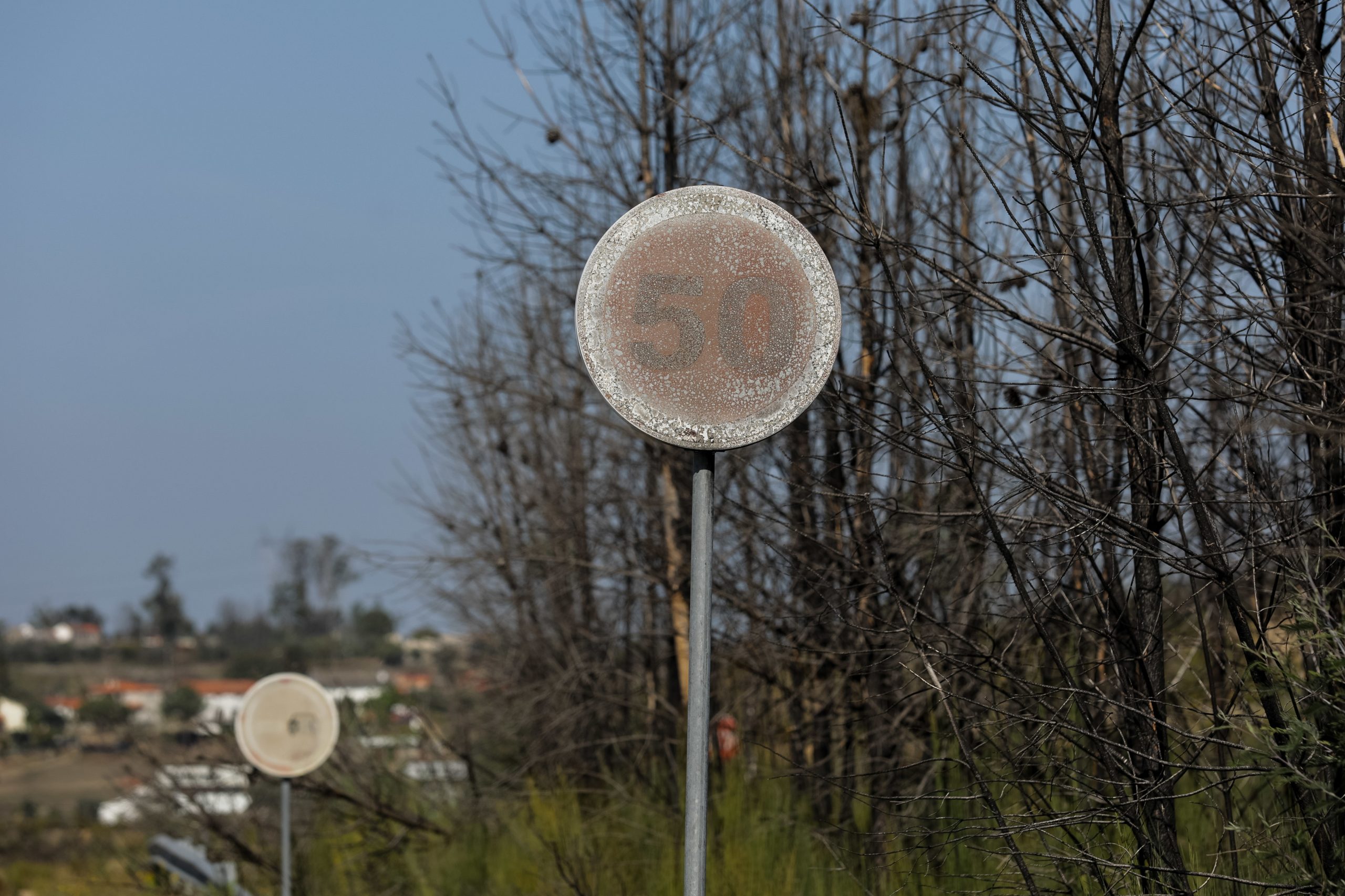 Incêndios: Observatório Técnico Independente alerta para menos meios no ataque inicial