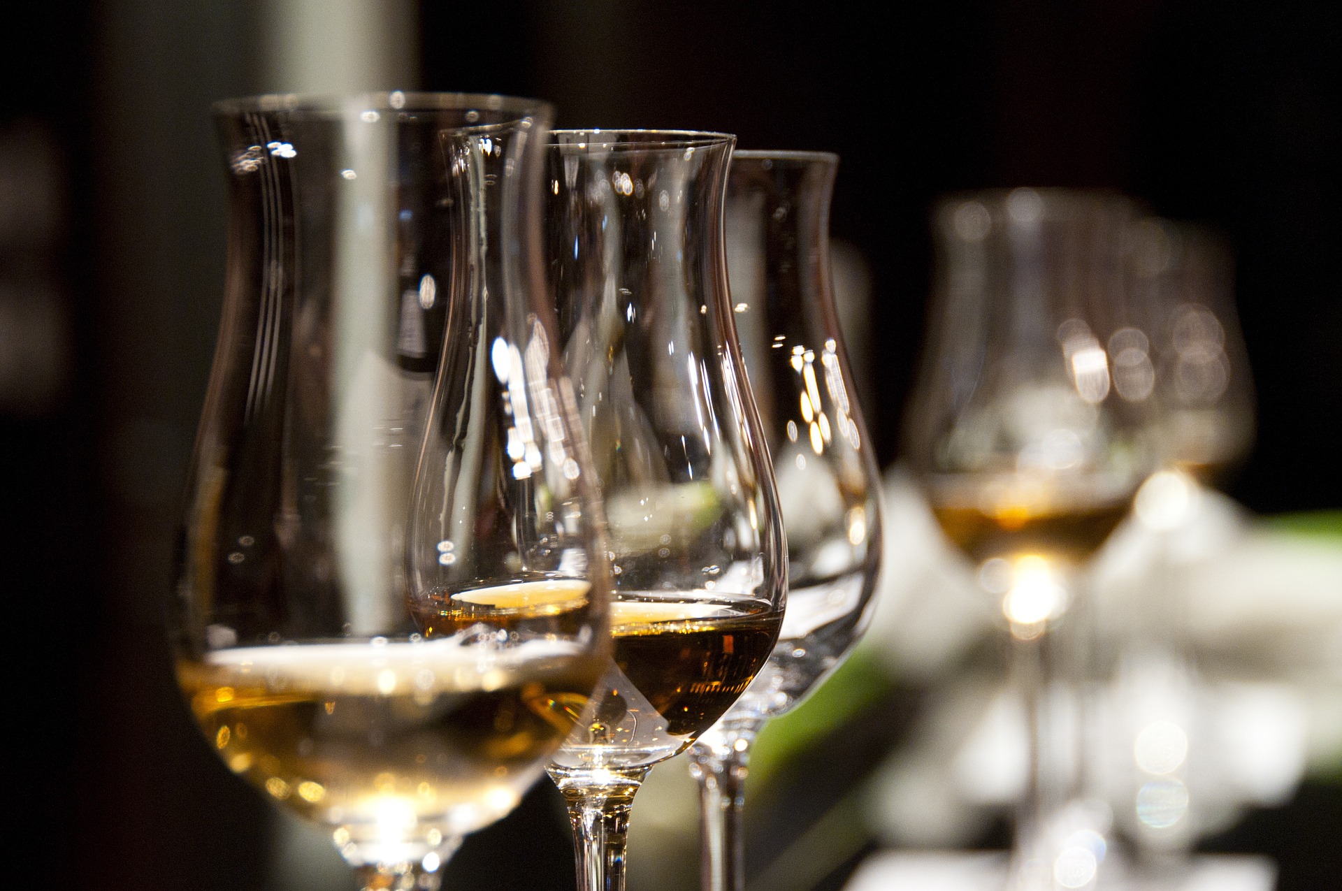 Portugal é o país com o maior consumo de vinho por habitante em 2016