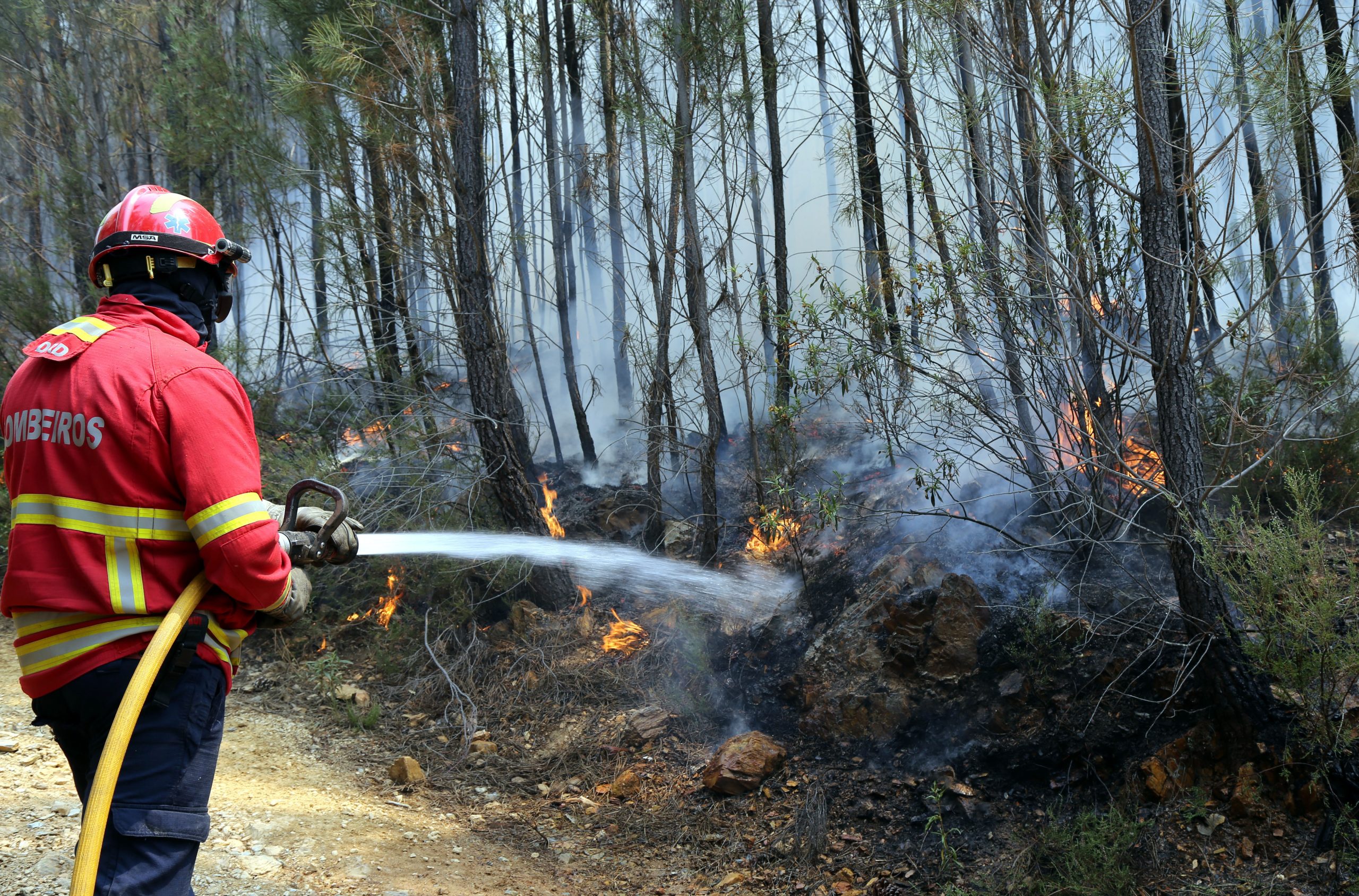 Mais de 900 operacionais em vigilância no rescaldo do incêndio em Oleiros