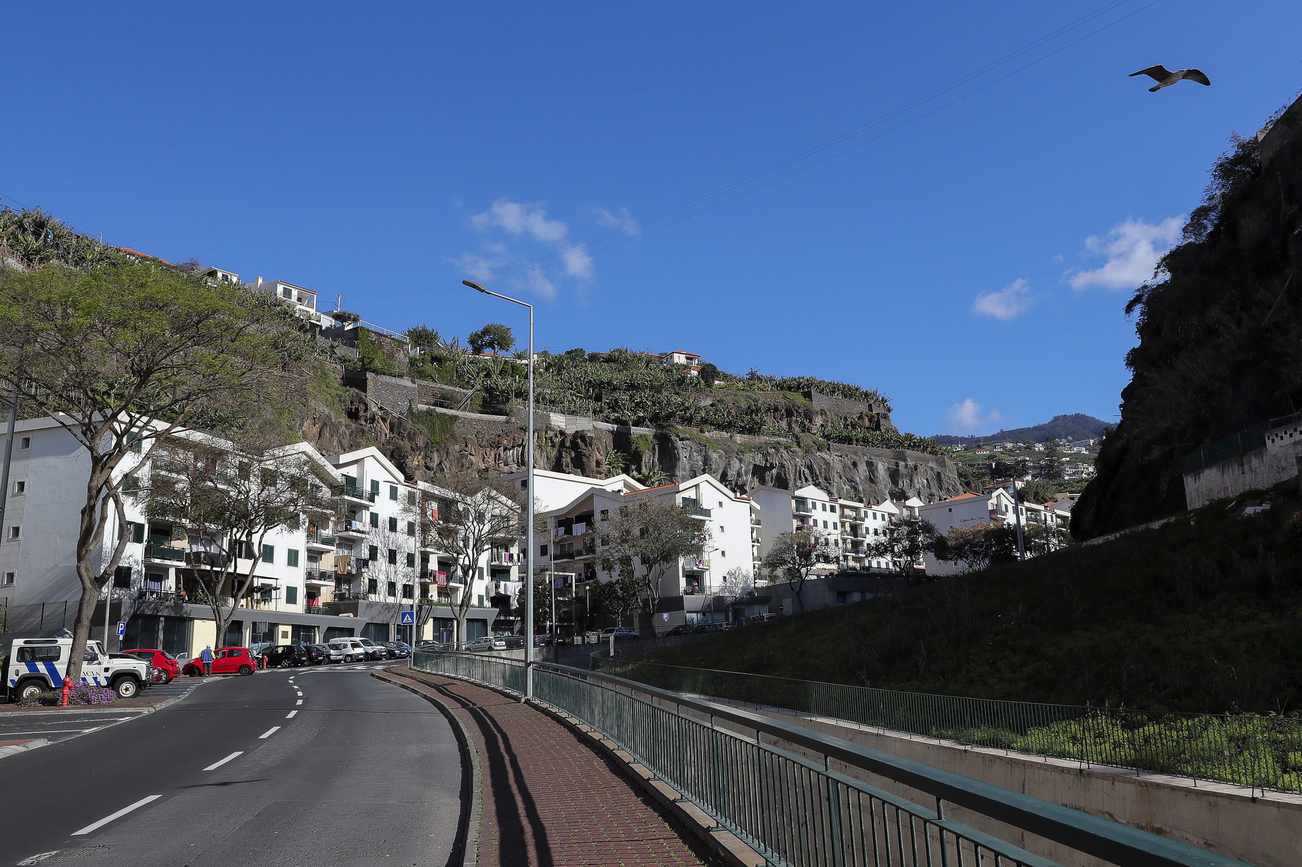 Covid-19: Madeira vai testar 300 pessoas relacionadas com casos na freguesia de Câmara de Lobos
