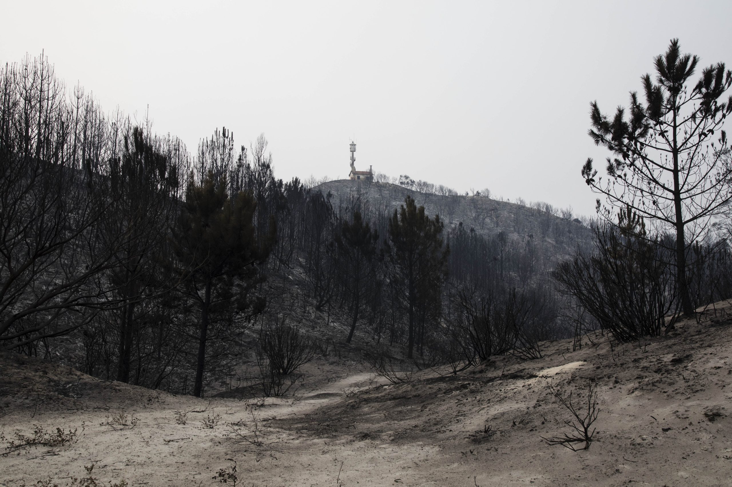 Incêndios: Pombal e Leiria excluídos dos apoios para recuperar infraestruturas públicas afetadas