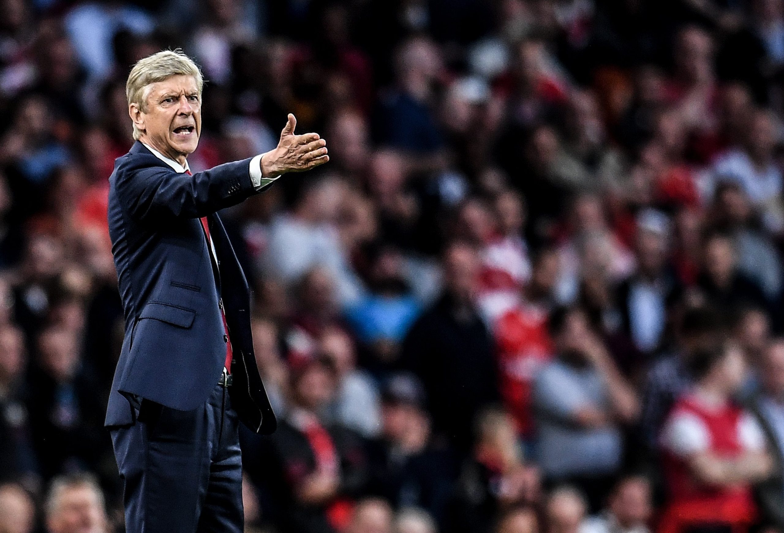 Basta, Sr. Wenger!