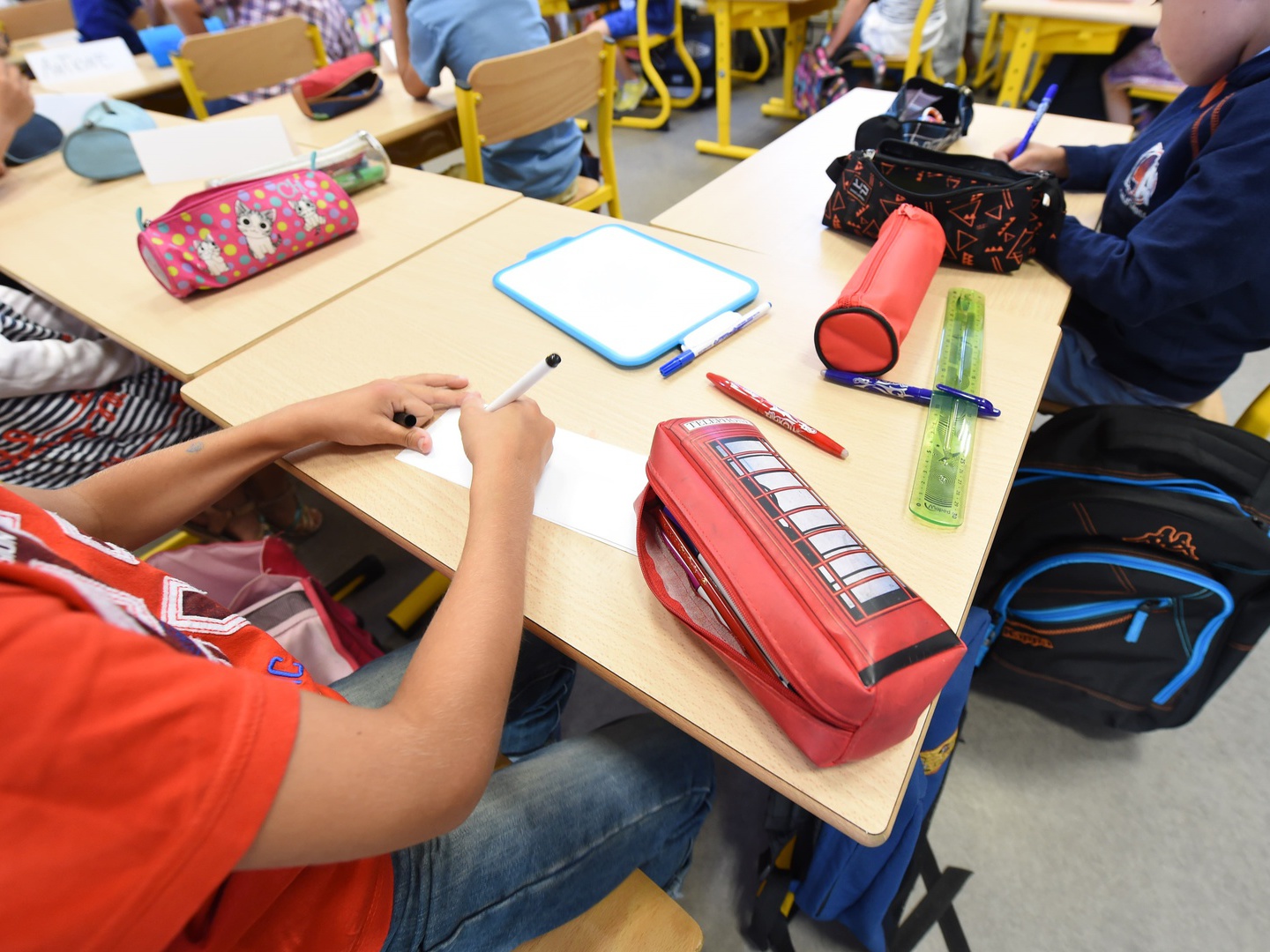 Ordem dos Psicólogos quer Educação Sexual e Saúde Mental integradas nos currículos escolares desde o 1.º ciclo