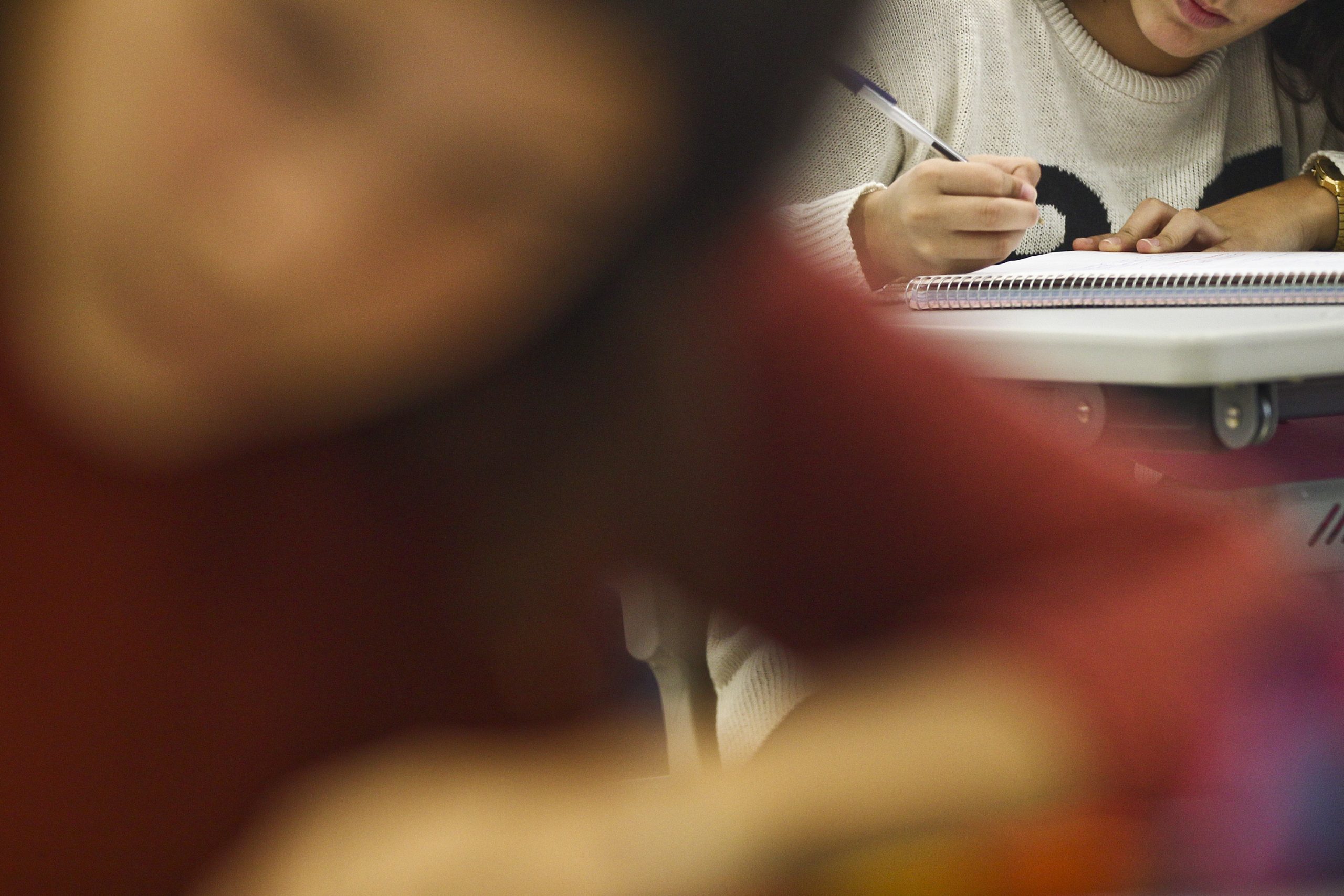 PS questiona Governo sobre escola de Famalicão só com alunos de um grupo étnico