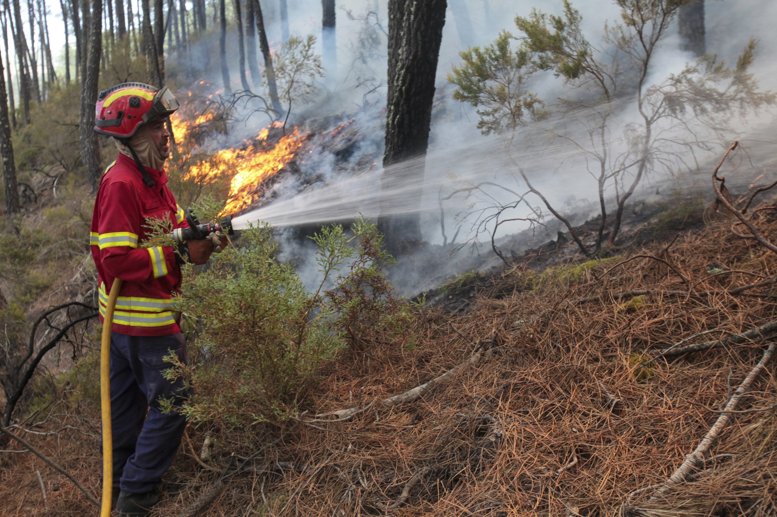 Incêndio em Seia leva a cortes de estradas e retém suspeito