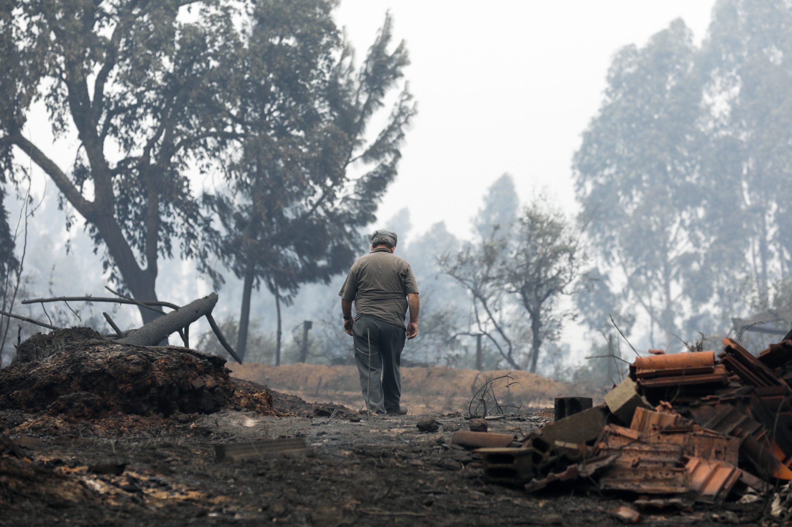 Associação de vítimas assinala oito anos da tragédia dos incêndios de Pedrógão Grande