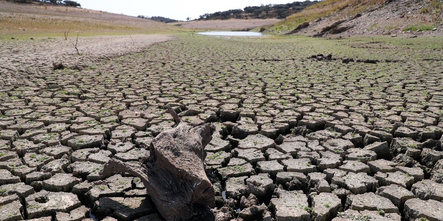 Ondas de calor em Portugal e Espanha poderão ter o dobro da intensidade em 2050