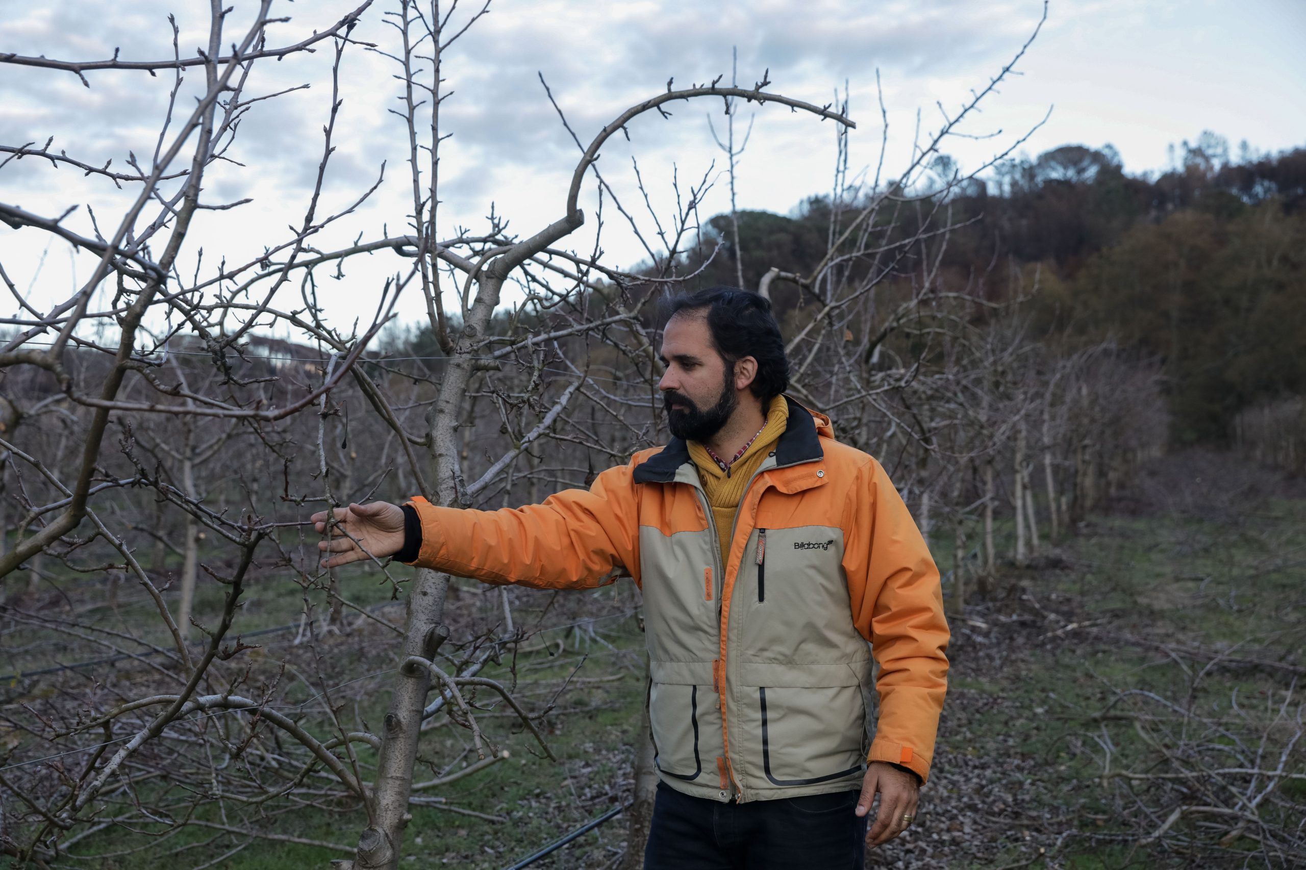 Incêndios: Lista de agricultores afetados e montantes pagos pelo Estado divulgada esta semana