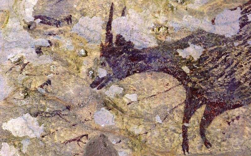 Descoberta a pintura rupestre de caça mais antiga do mundo