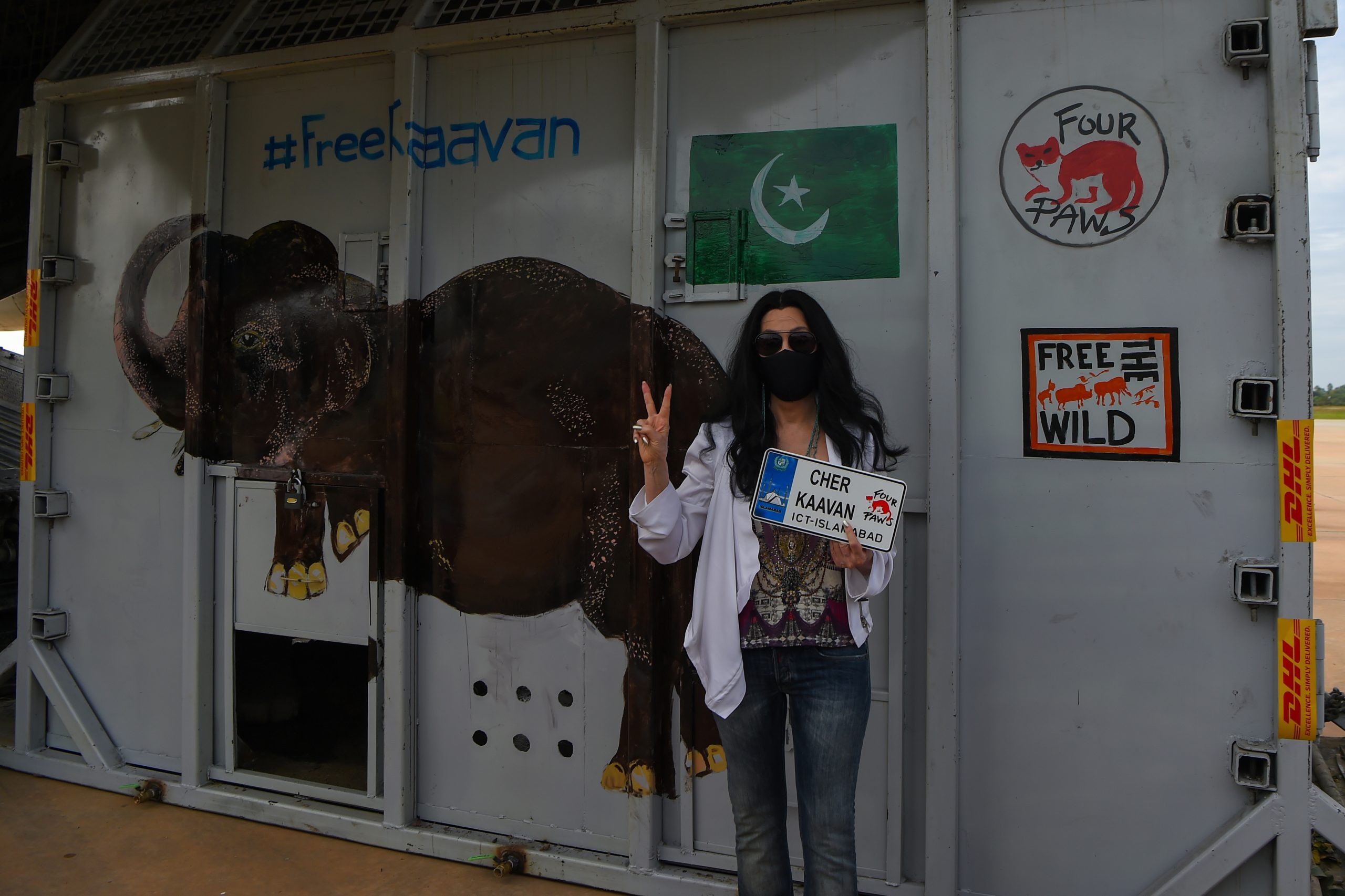 Cher recebe no Camboja o elefante Kaavan, considerado o “mais solitário do mundo”