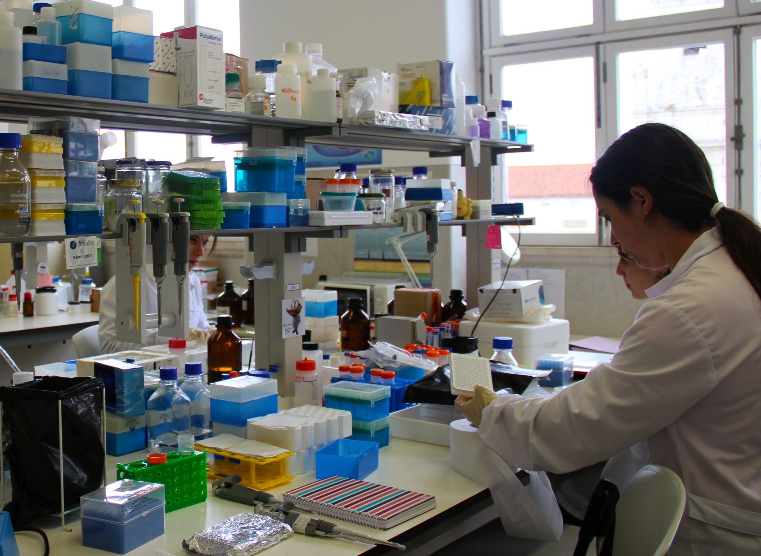 Investigadores desenvolvem método que pode ajudar a prevenir Alzheimer