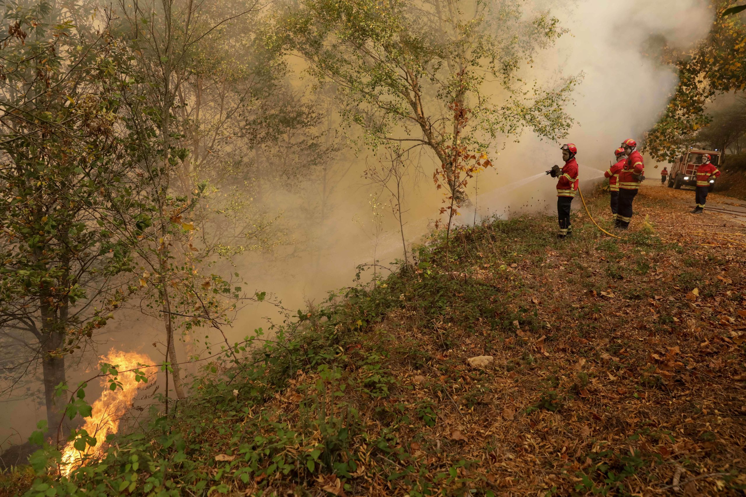 Incêndios: Quatro mortos no concelho de Vouzela