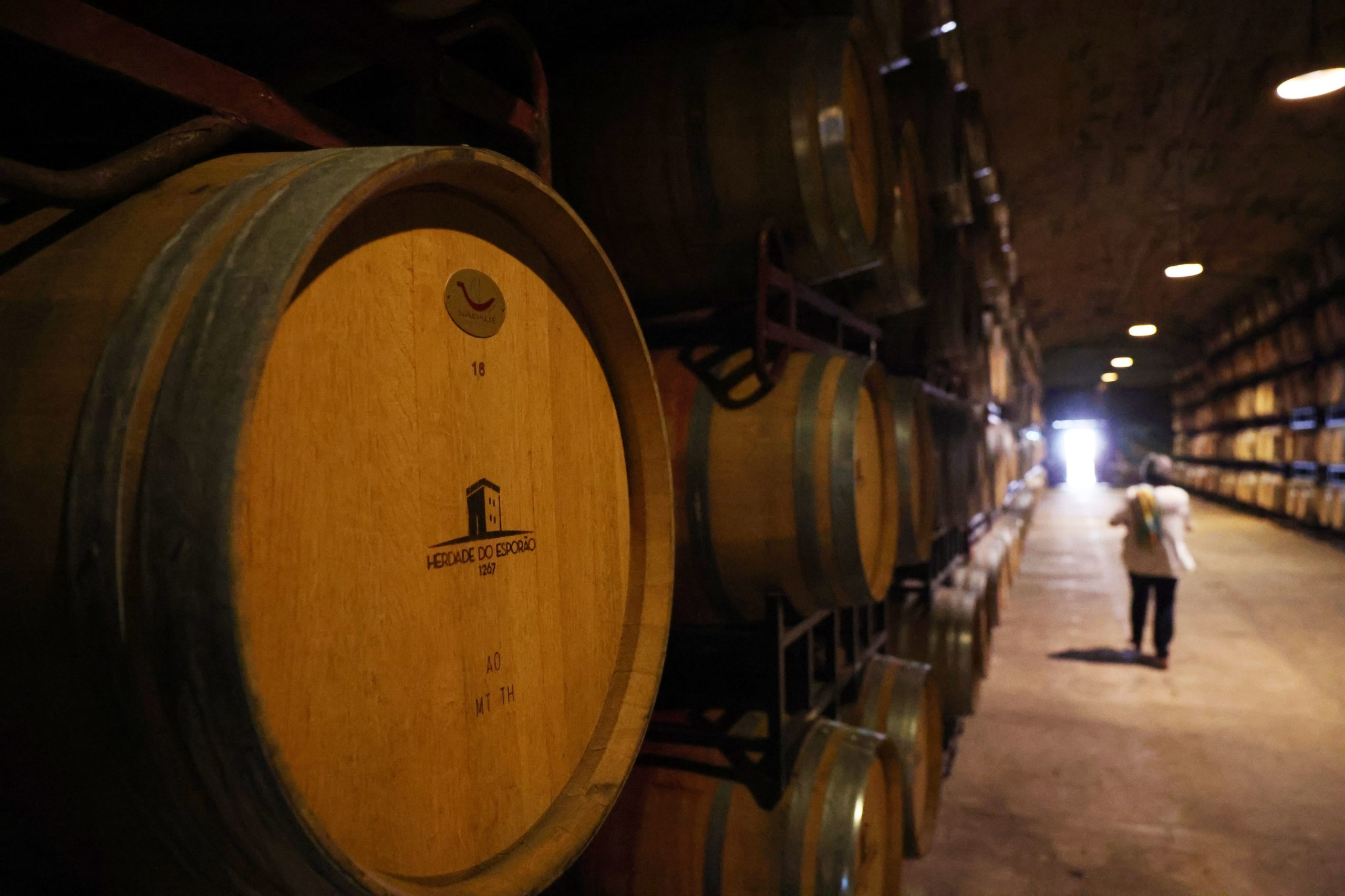 Exportações de vinhos portugueses aumentam. China está a provar os néctares lusos