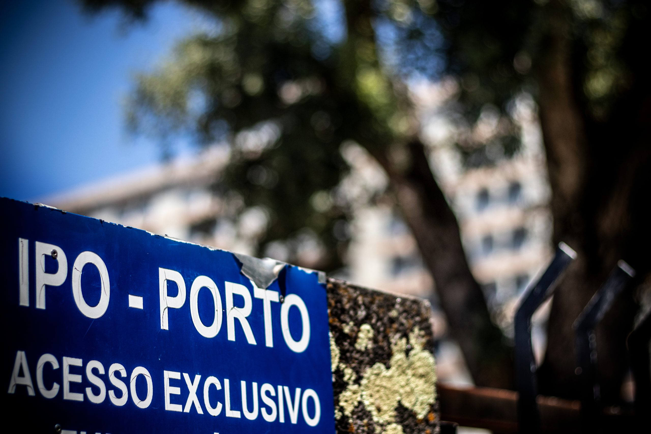 Covid-19: Sociedade de Oncologia considera que testar doentes antes da quimioterapia é vantajoso mas difícil
