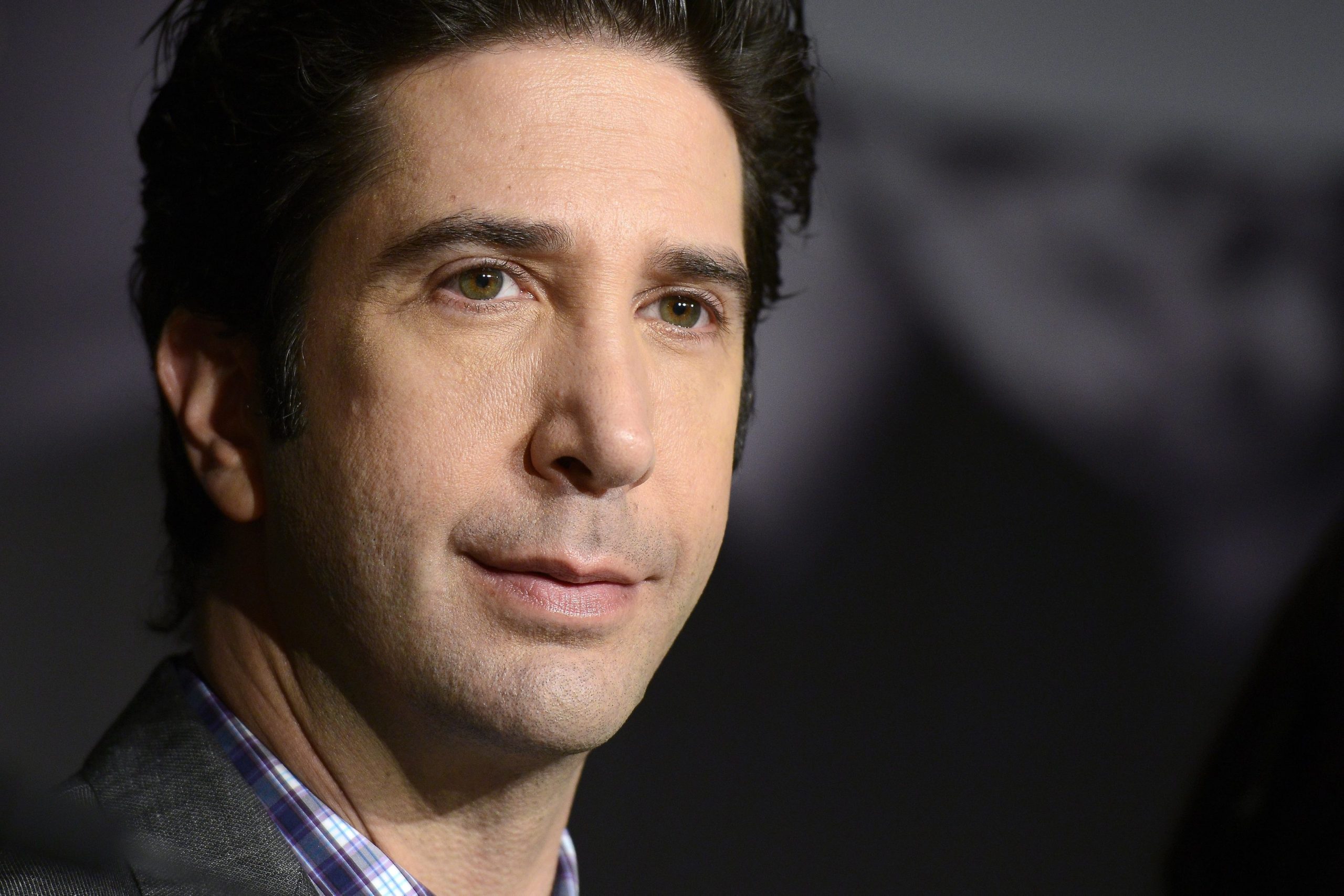 David Schwimmer estudou botânica para protagonizar comédia de terror “Goosebumps”