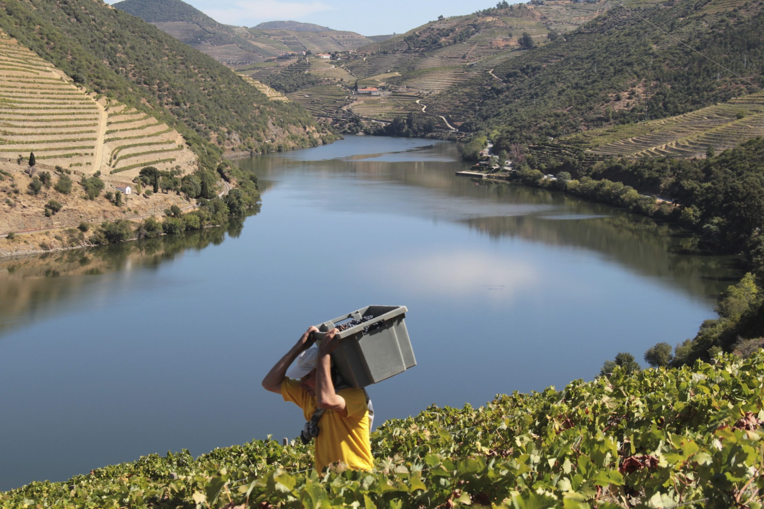 Dia do Douro quer aproximar rio do território, pessoas e tradições culturais