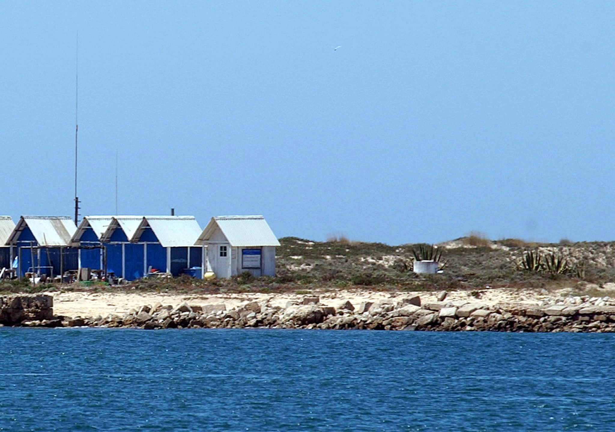 Saquetas de chá usadas para estudar armazenamento de carbono na Ria Formosa
