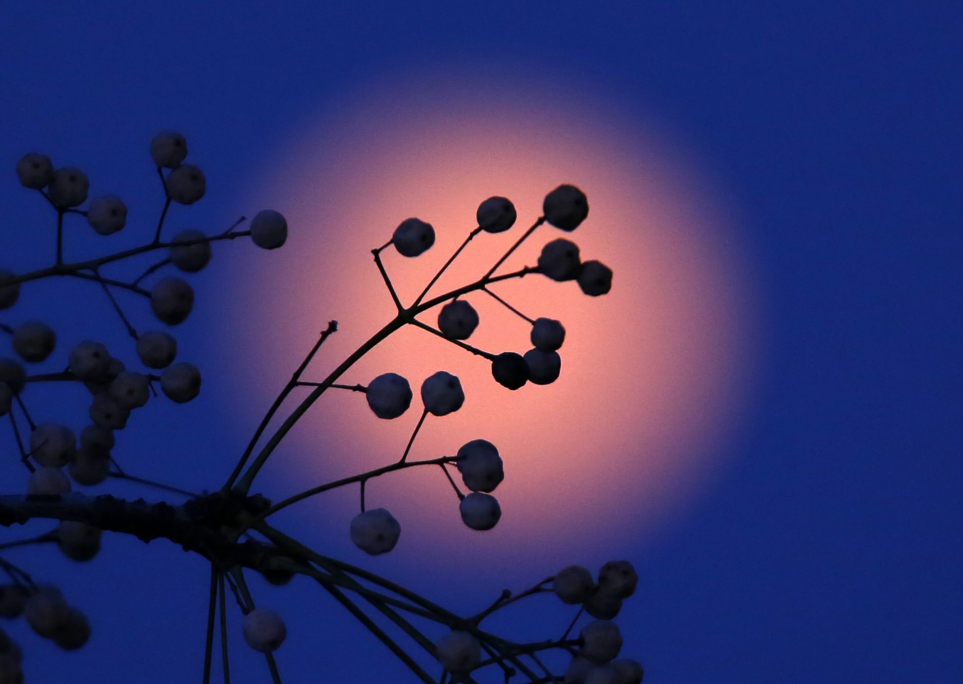 Vermelha, azul, branca. O mundo pôs os olhos no céu para ver a lua