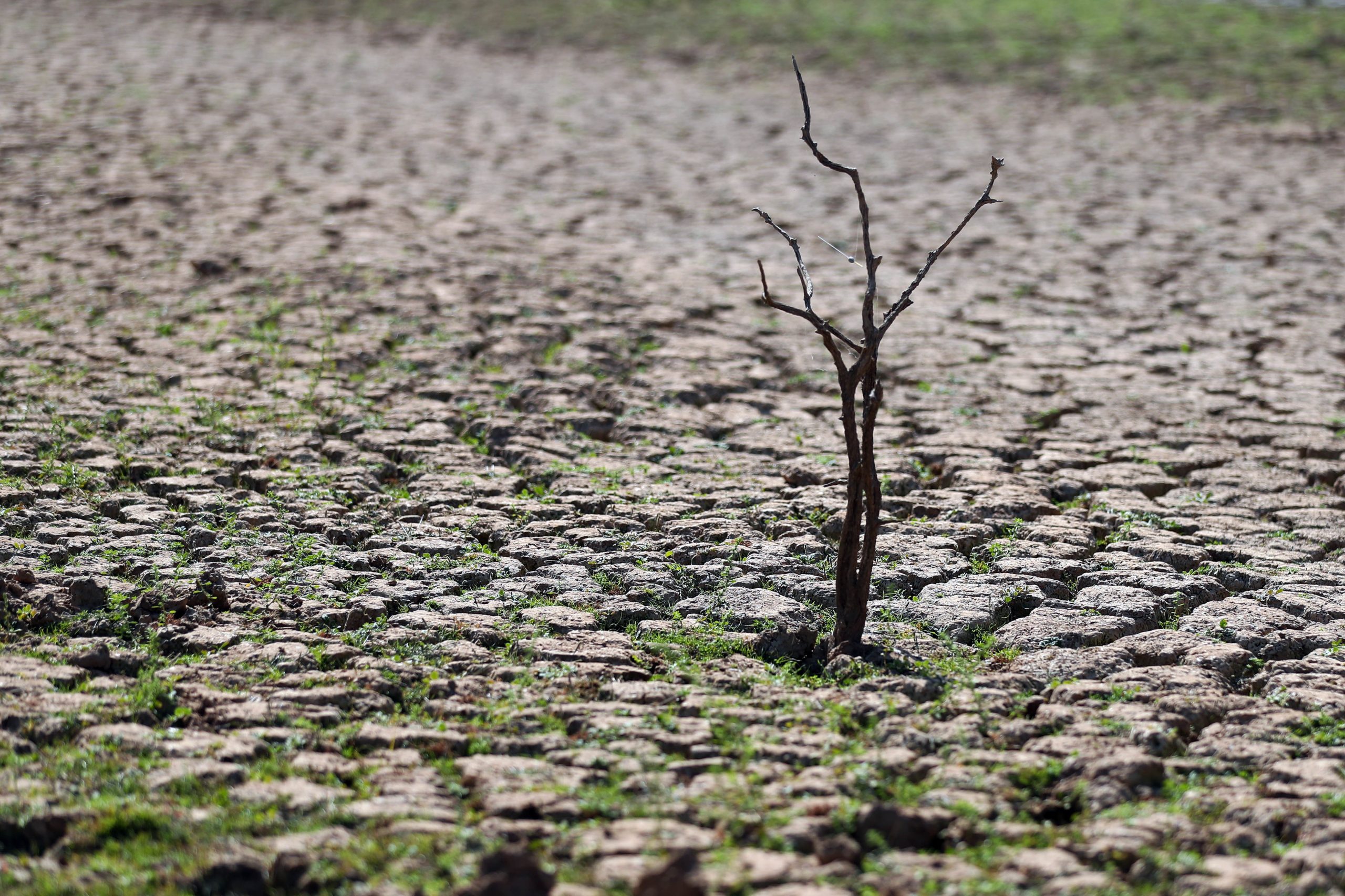 Quase metade de Portugal continental estava em seca meteorológica no fim de maio
