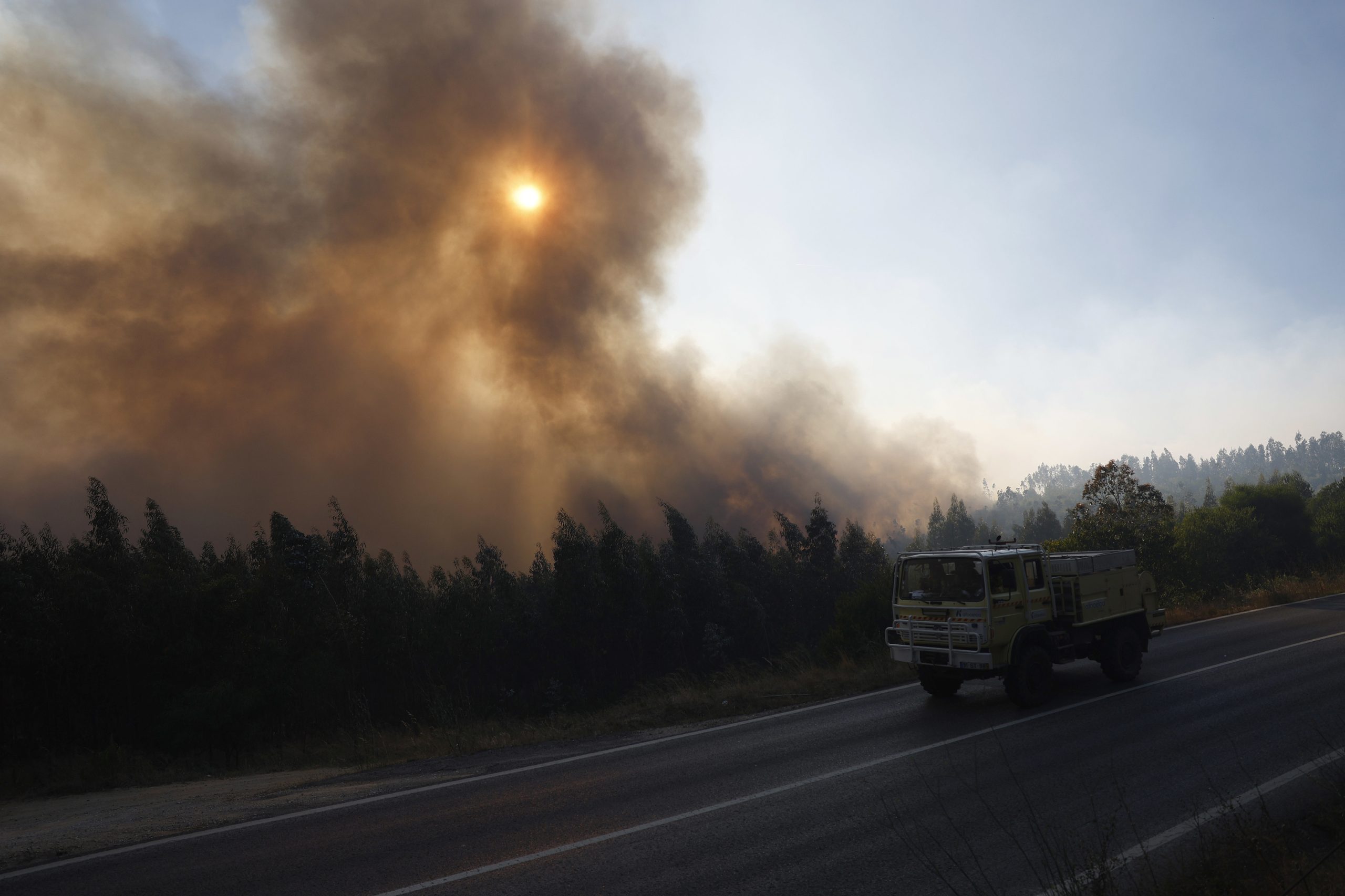 Parque de campismo “evacuado por precaução” devido a incêndio em Odemira