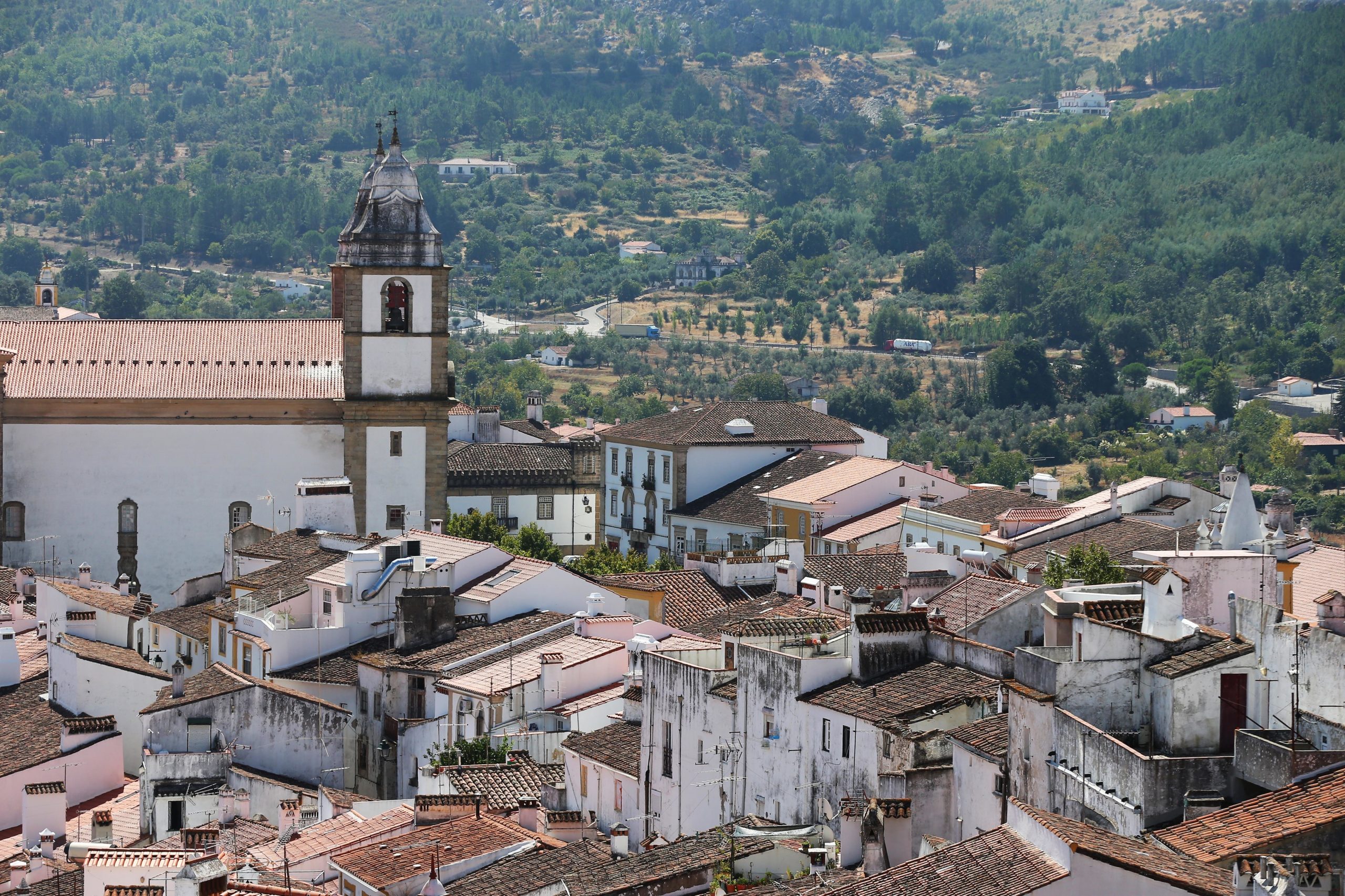 Covid-19: Autarca de Castelo de Vide infetado e com sintomas