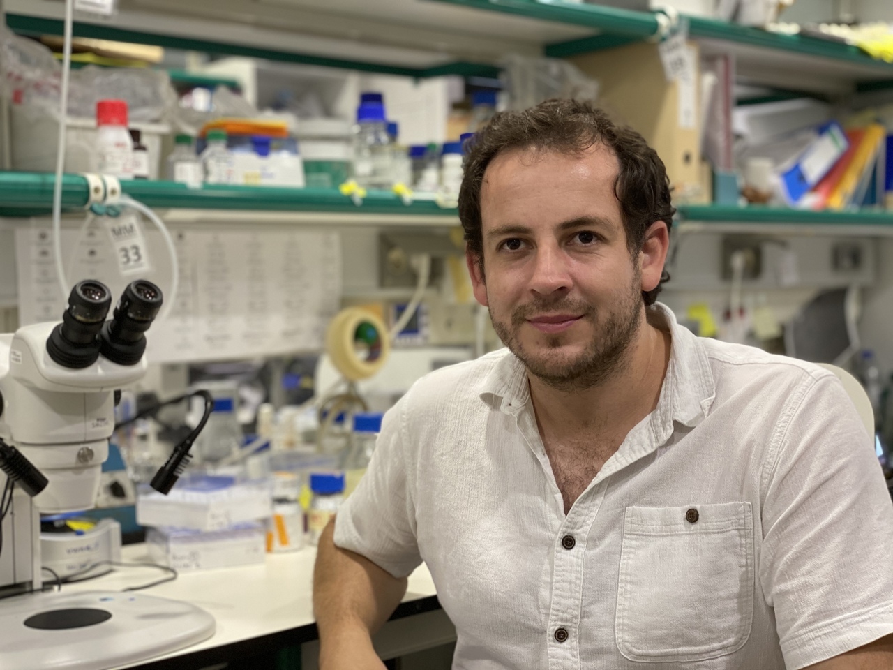 Elias H. Barriga é o investigador principal do Instituto Gulbenkian de Ciência